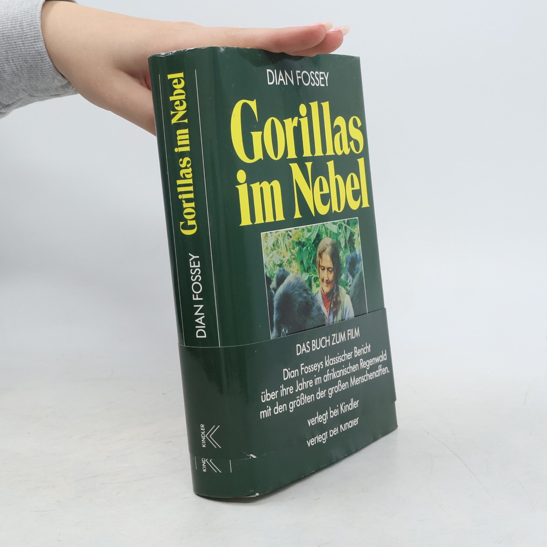Dian Fossey Gorillas im Nebel
