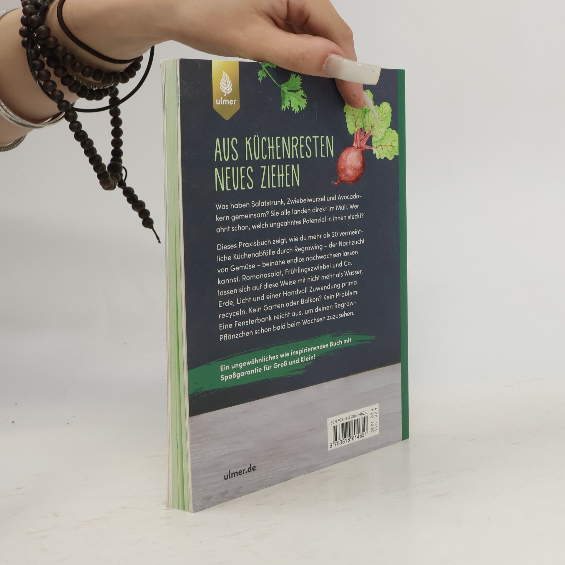 Melissa Raupach Regrow your veggies