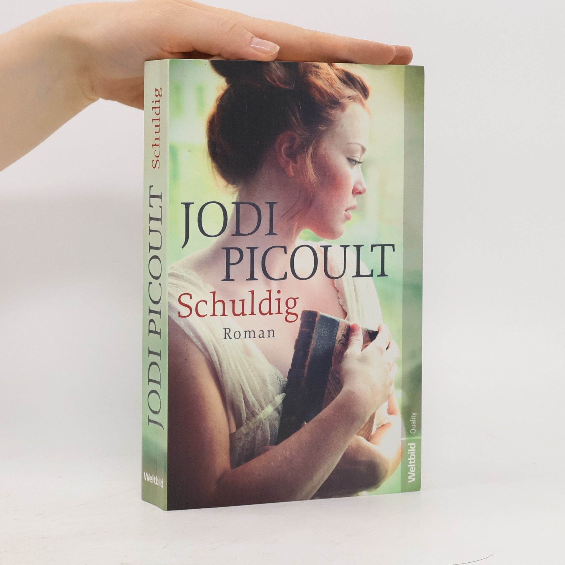 Jodi Picoult Schuldig