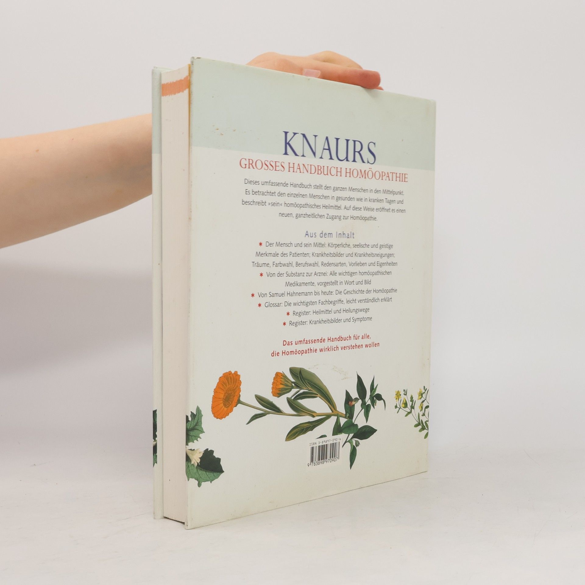 Michael Helfferich Knaurs grosses Handbuch Homöopathie