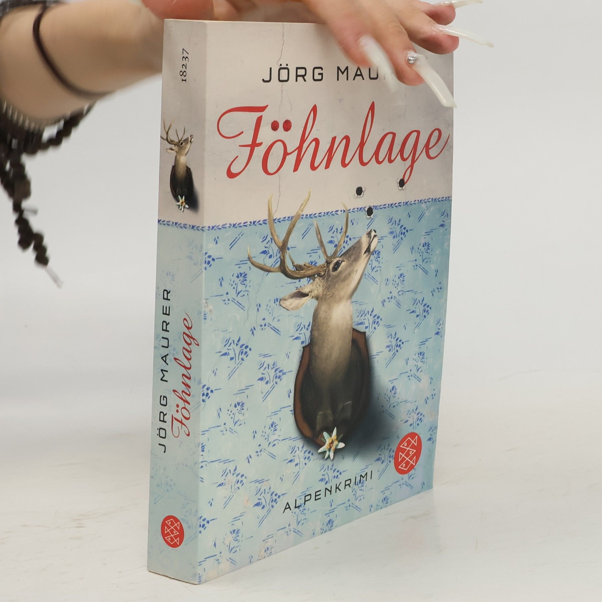 Jörg Maurer Föhnlage
