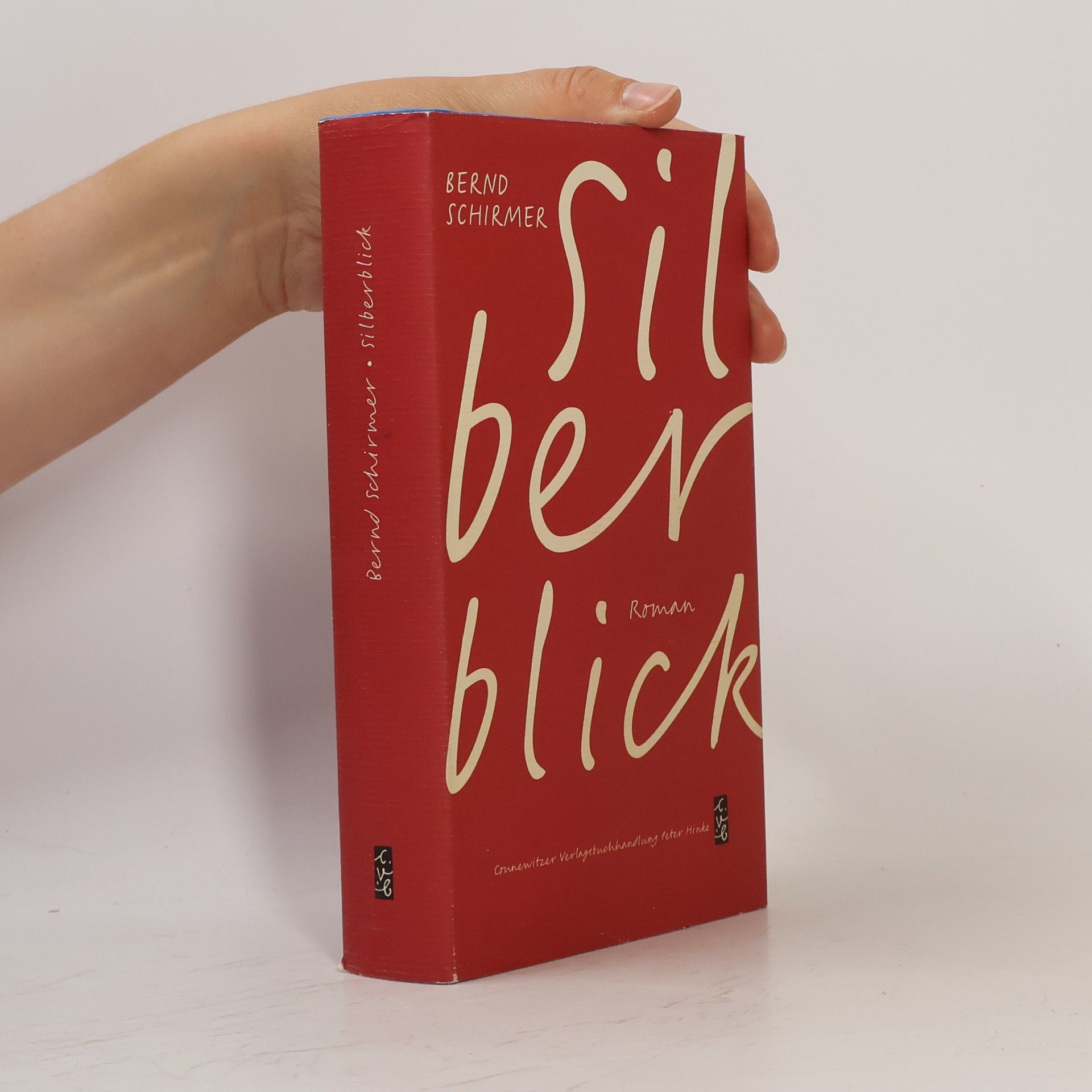 Bernd Schirmer Silberblick
