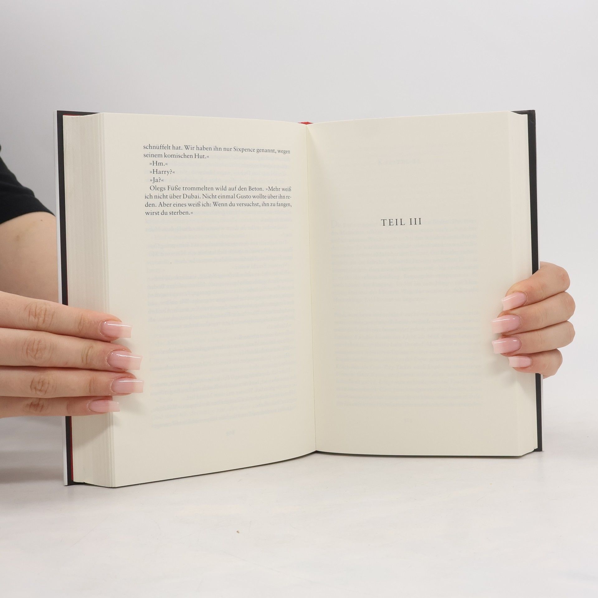 Jo Nesbø Die Larve