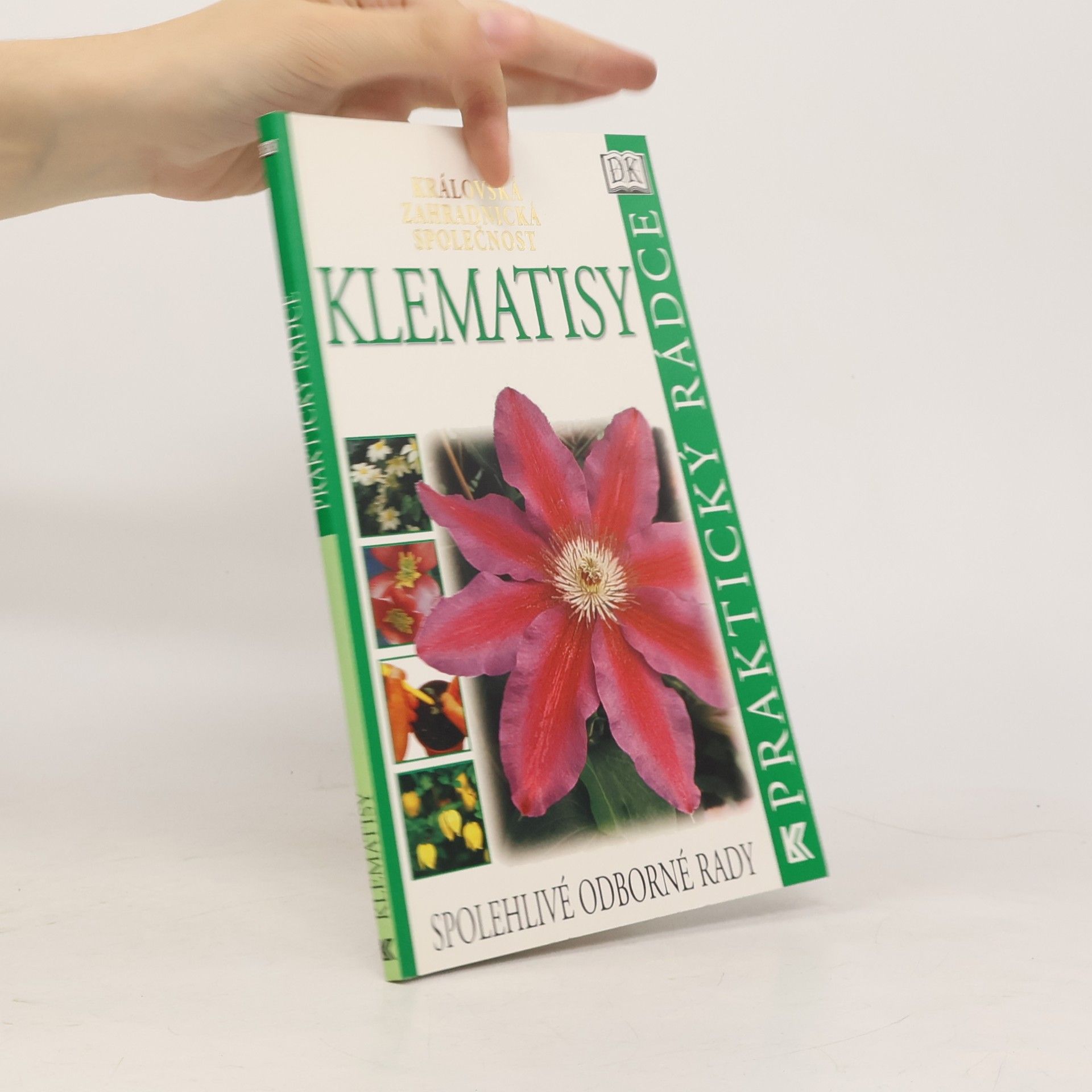 Klematisy
