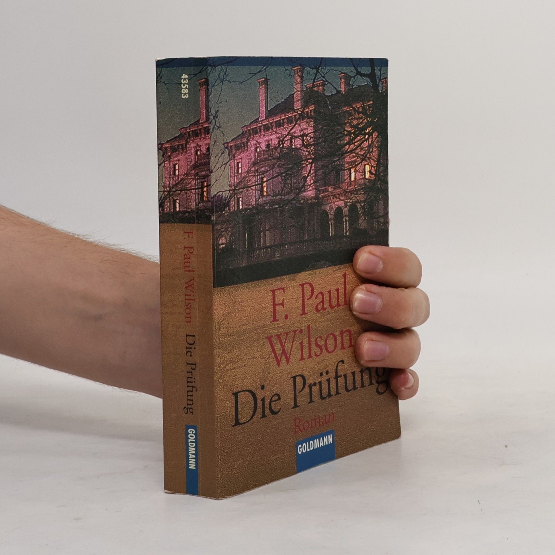 F. Paul Wilson Die Prüfung