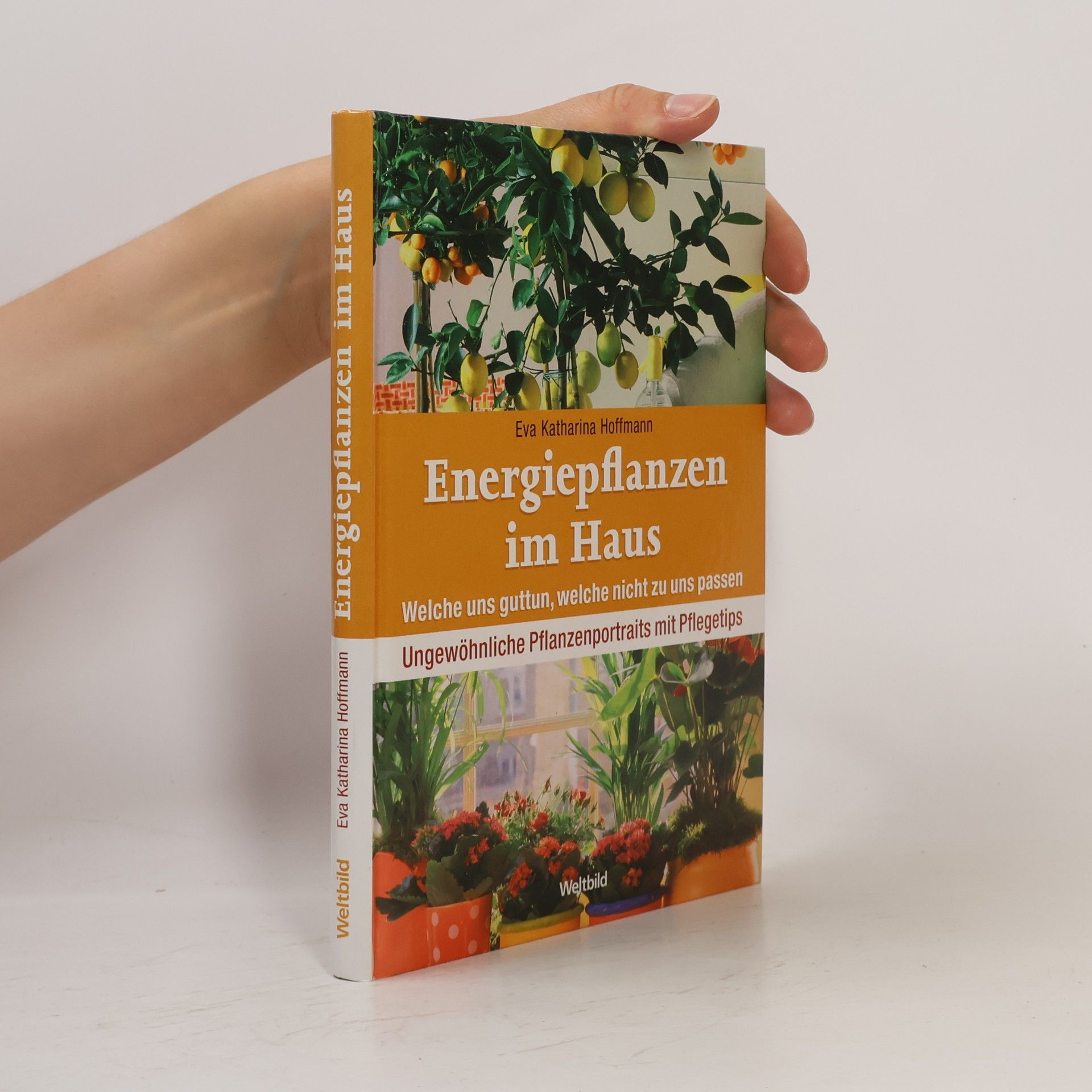 Eva Katharina Hoffmann Energiepflanzen im Haus