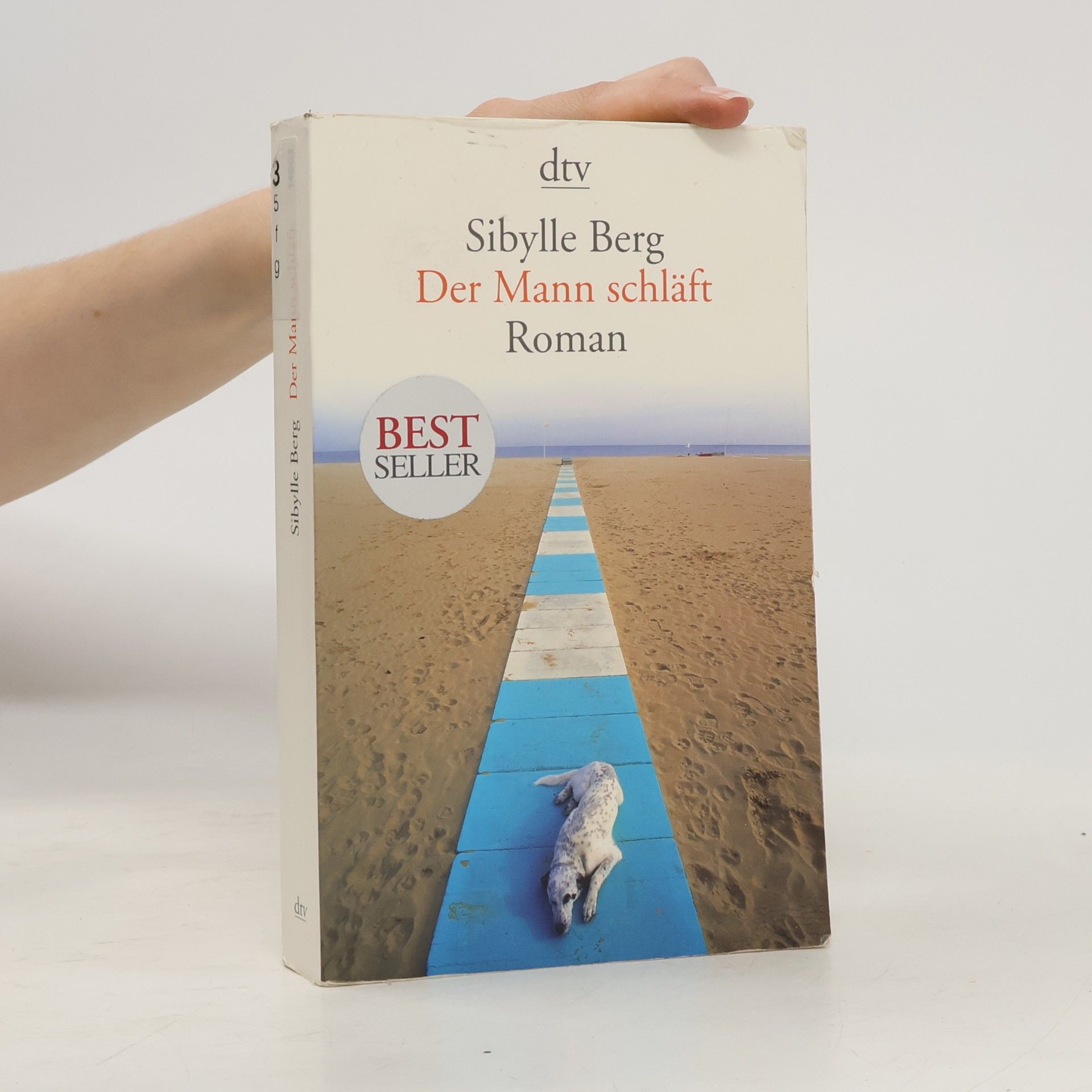 Sibylle Berg Der Mann schläft