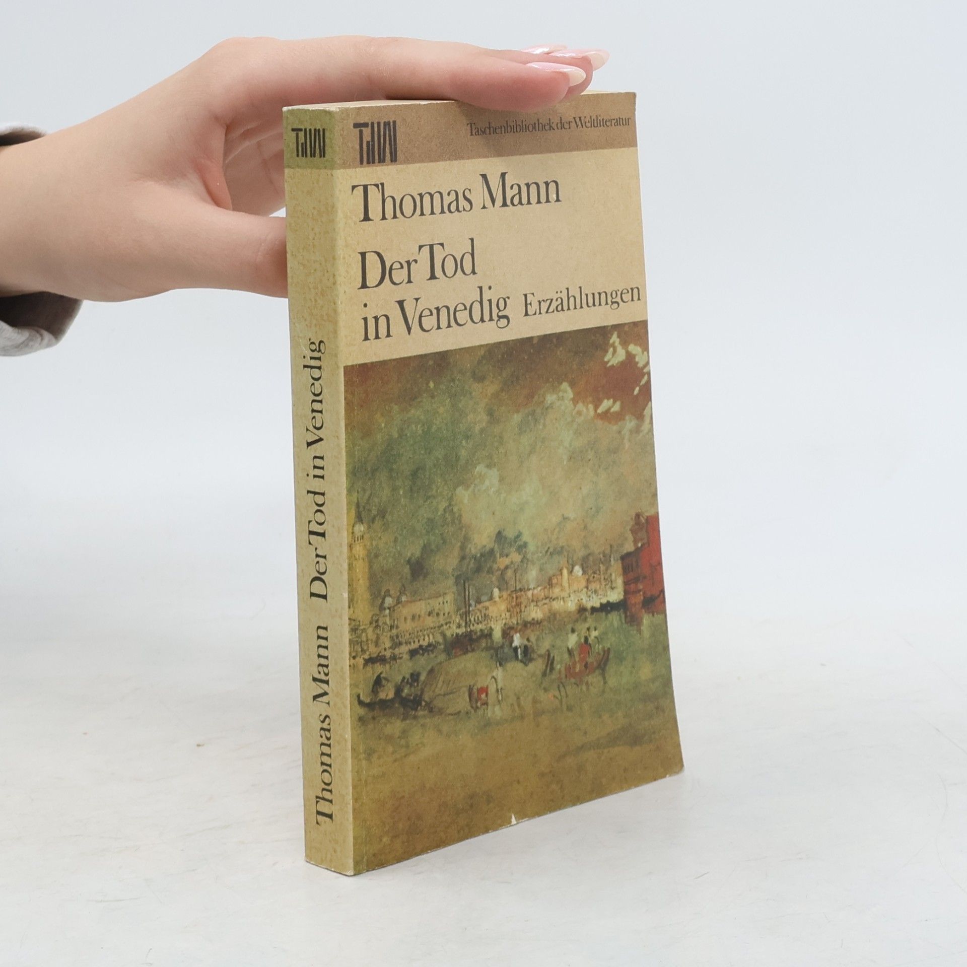 Thomas Mann Der Tod in Venedig