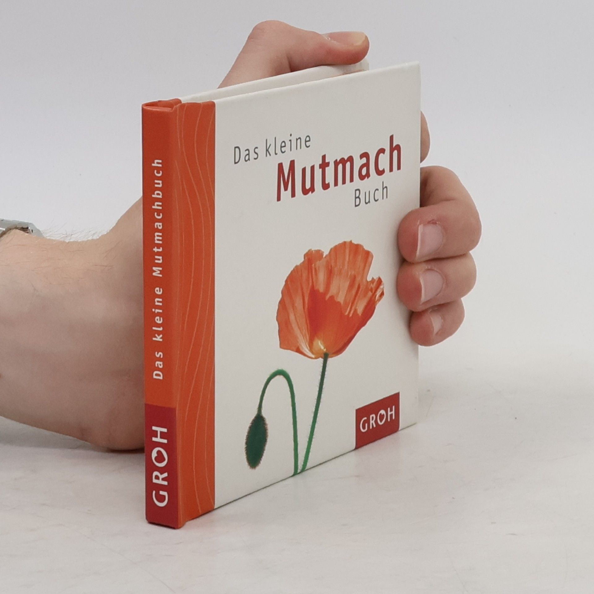 Celeste Marin Das kleine Mutmach-Buch