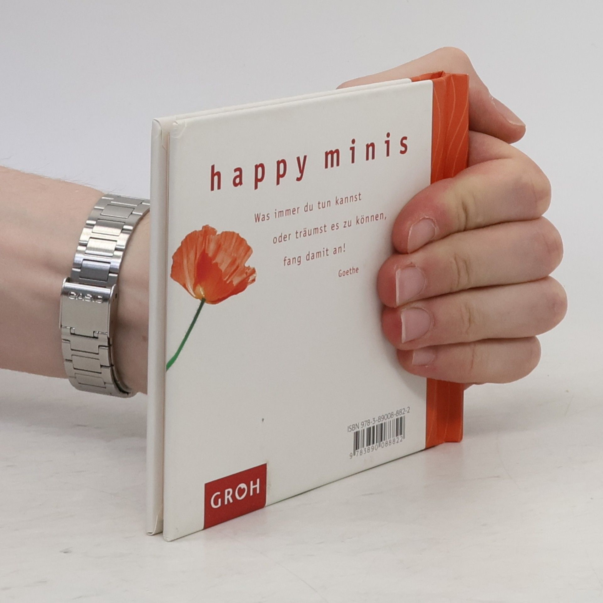 Celeste Marin Das kleine Mutmach-Buch