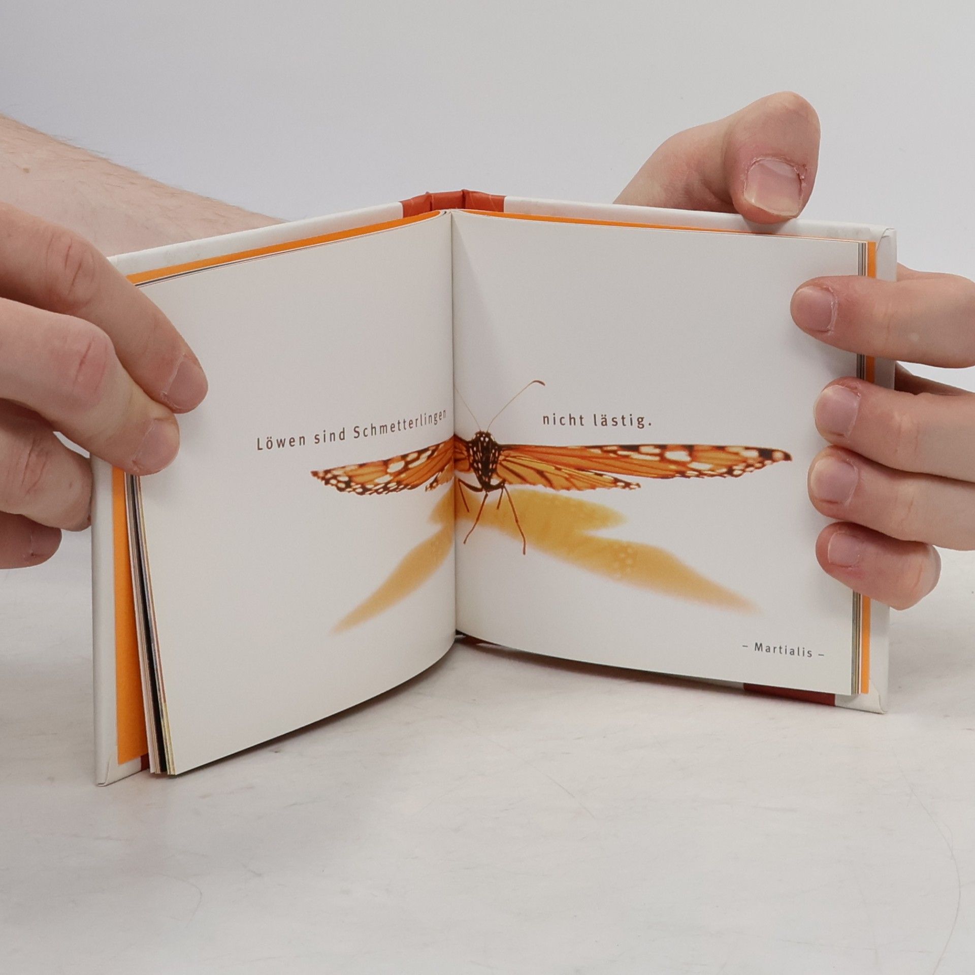 Celeste Marin Das kleine Mutmach-Buch