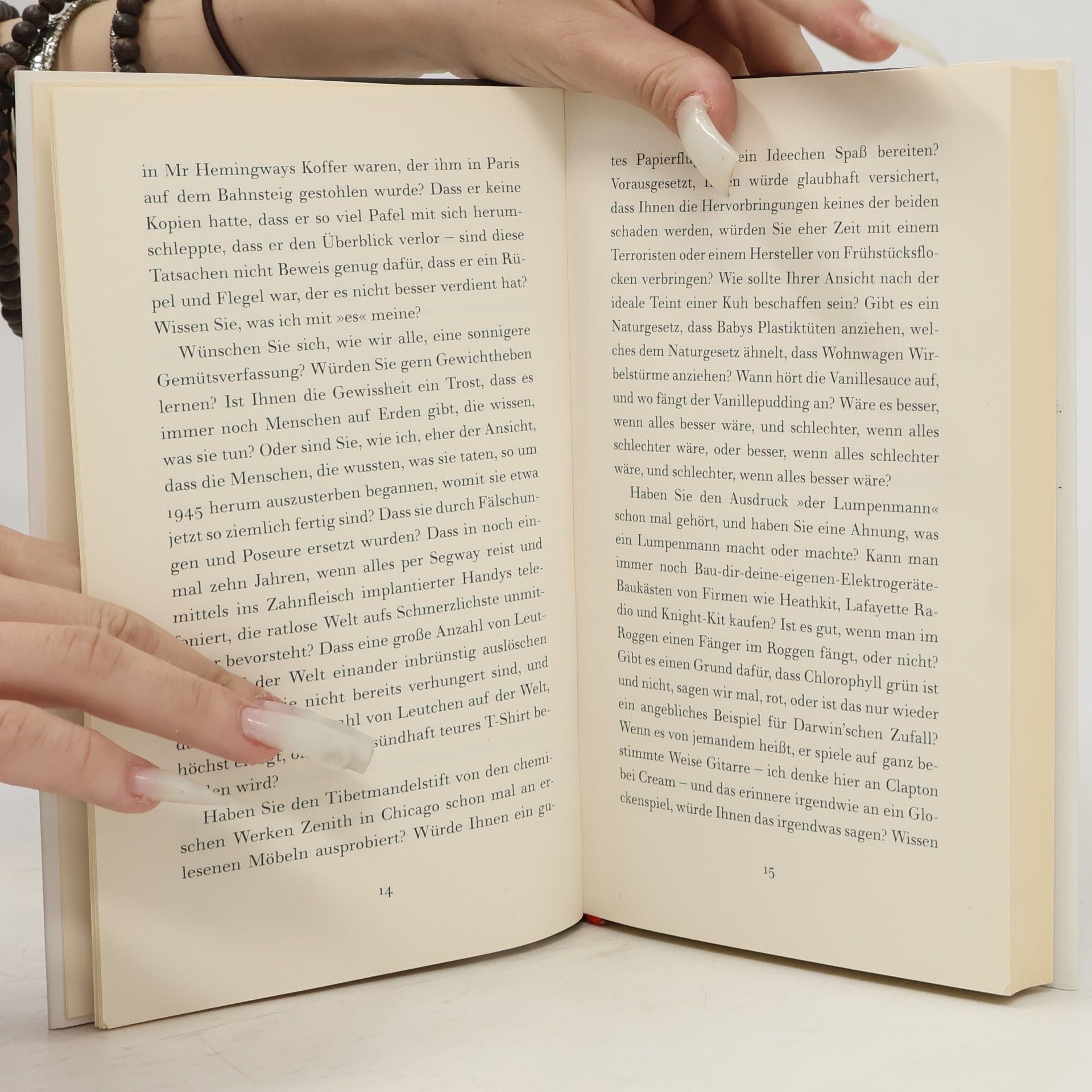 Padgett Powell Roman in Fragen