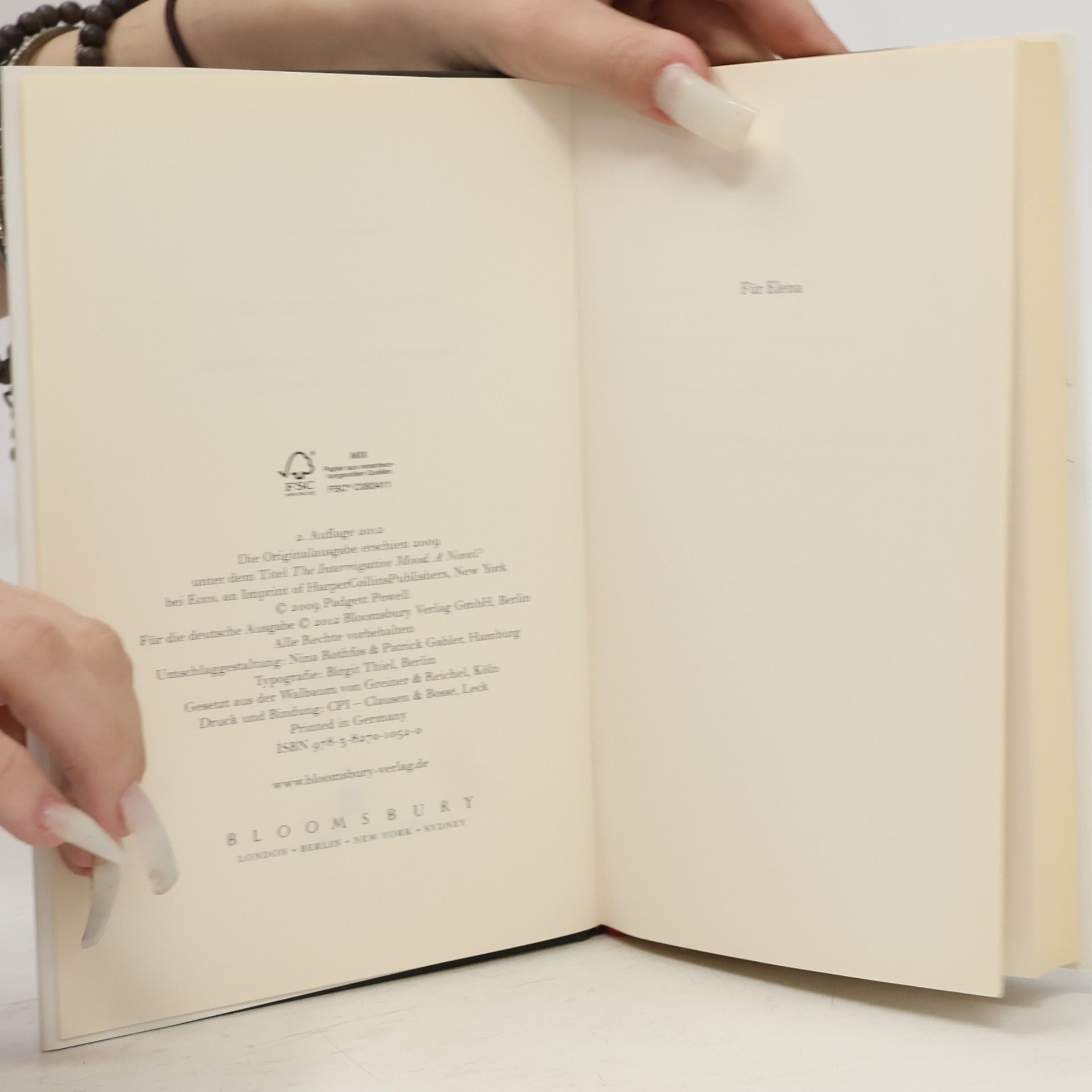 Padgett Powell Roman in Fragen