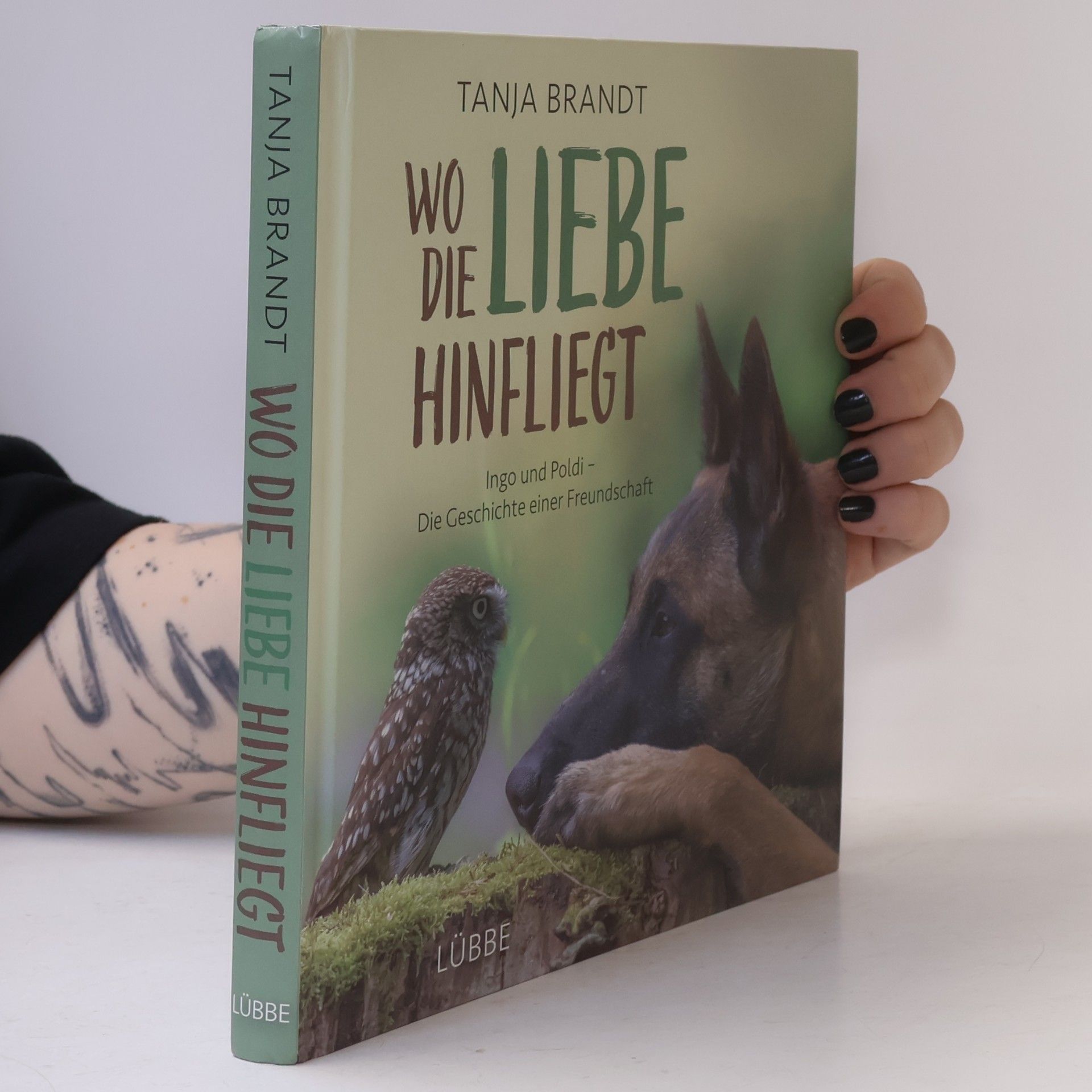 Tanja Brandt Wo die Liebe hinfliegt
