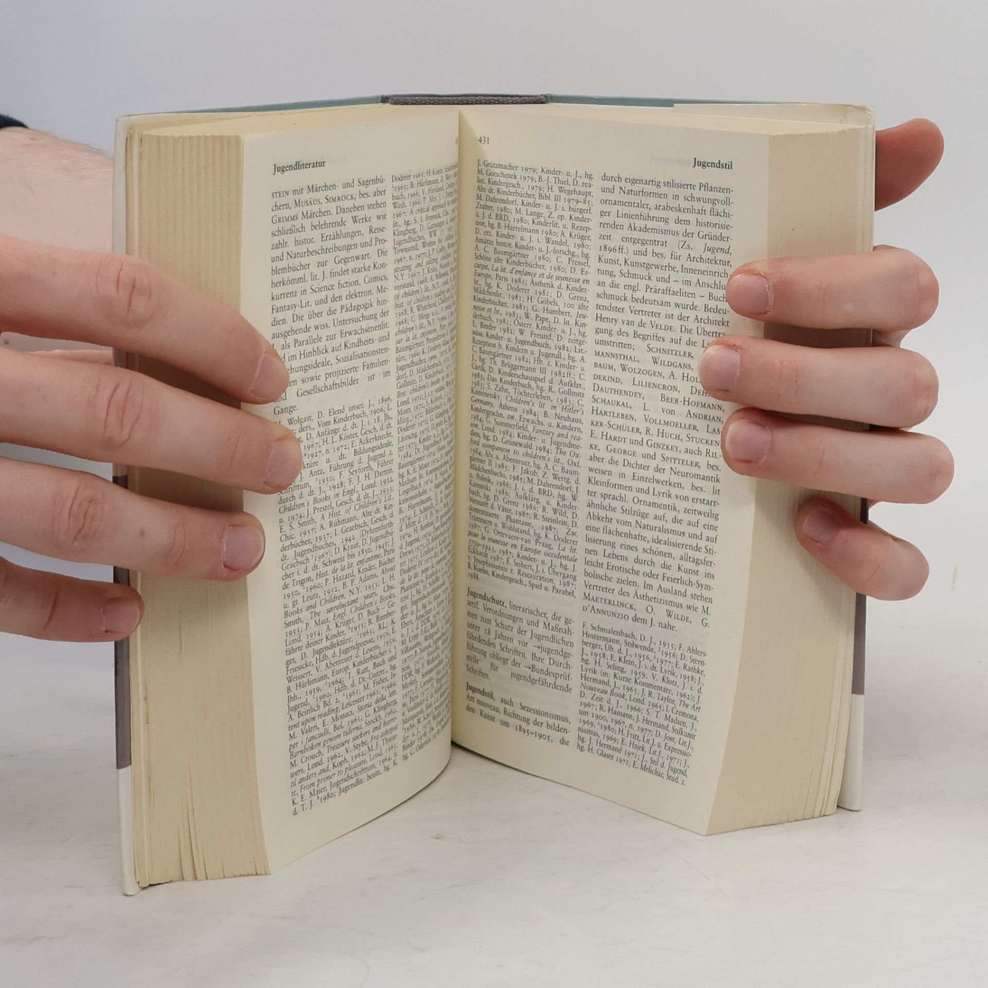 Gero von Wilpert Sachwörterbuch der Literatur