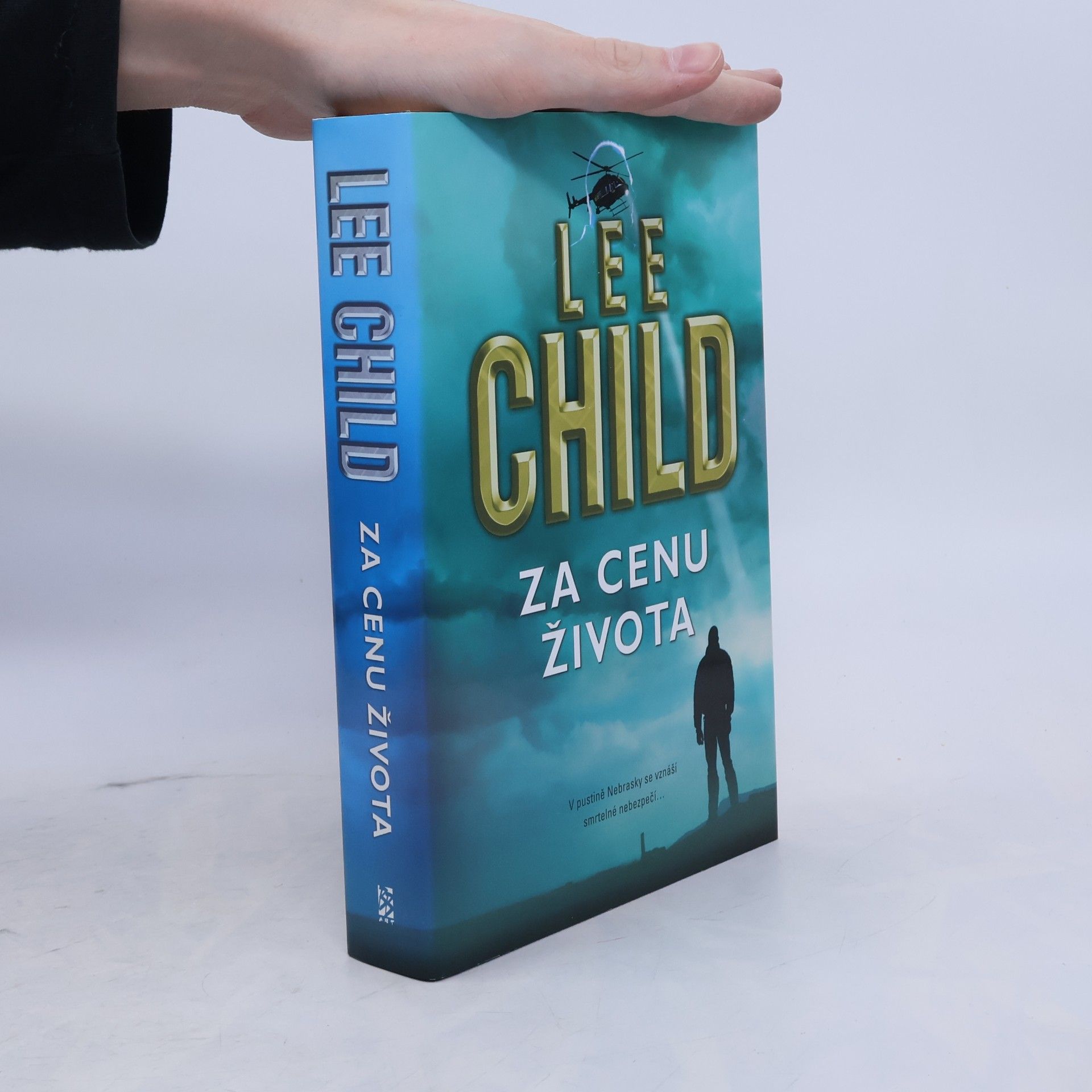 Lee Child Za cenu života