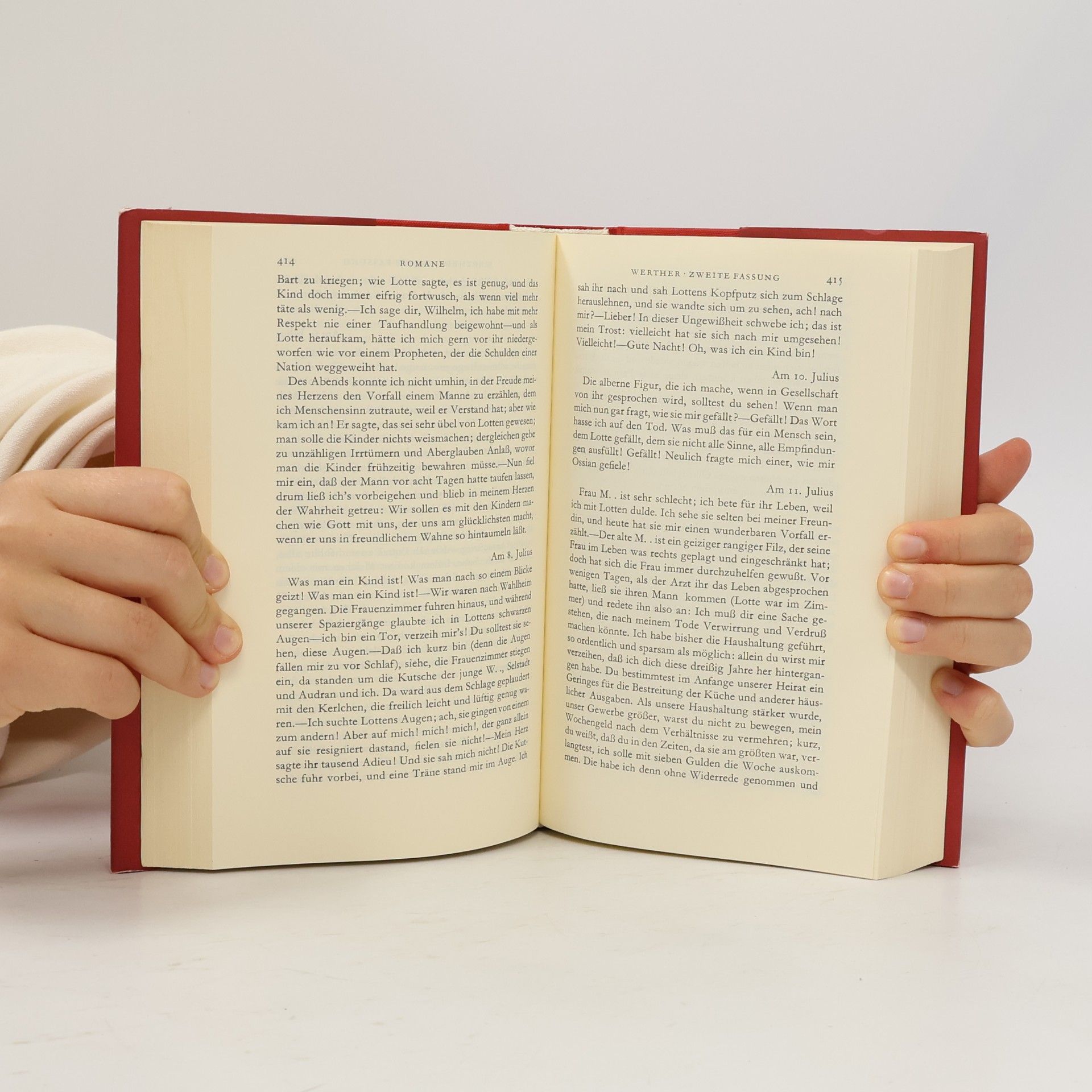 Johann Wolfgang von Goethe Goethe Sämtliche Werke 4