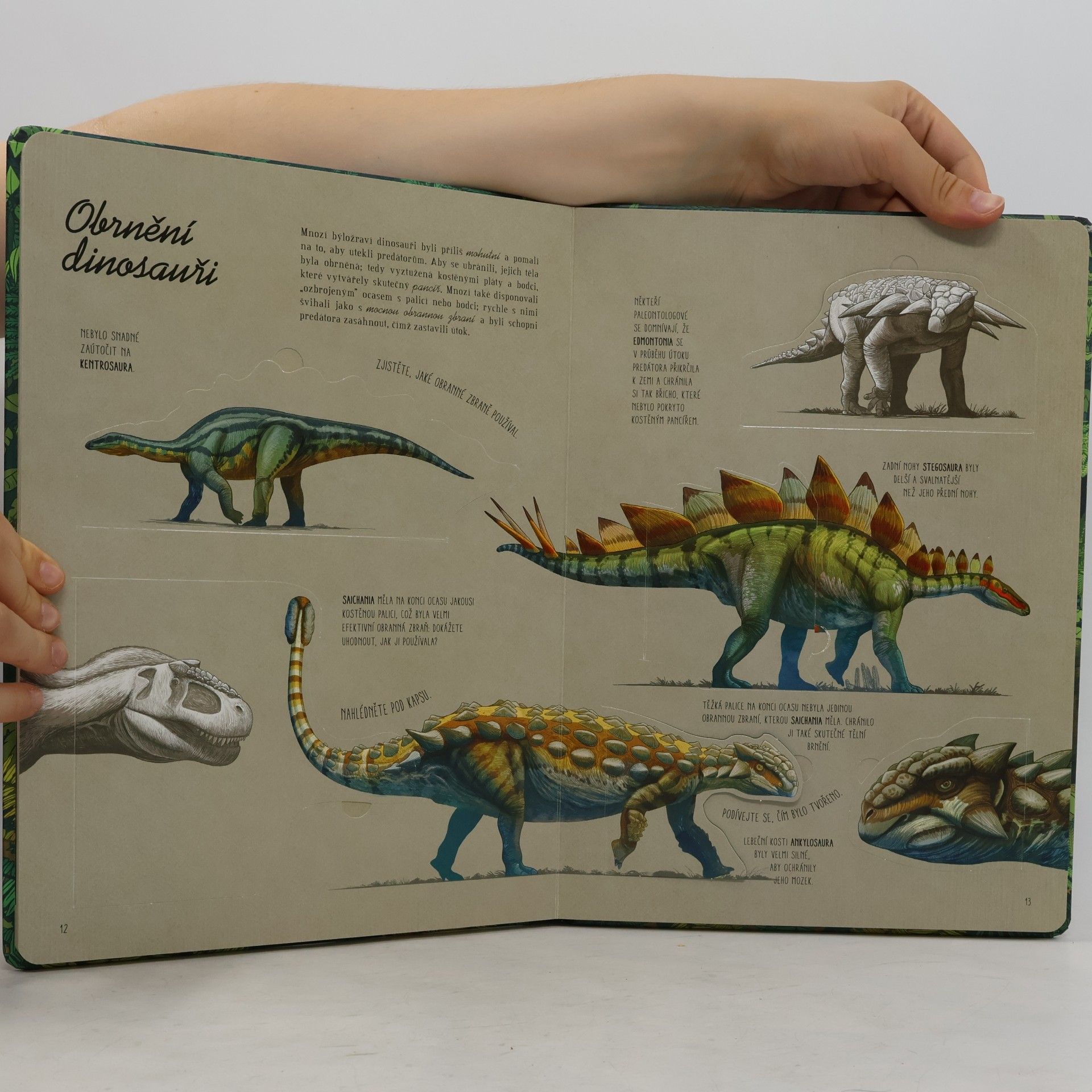Cristina M. Banfi Svět dinosaurů