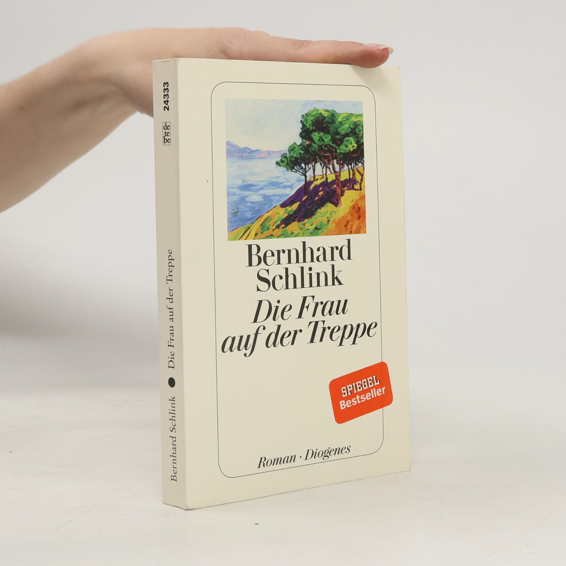Bernhard Schlink Die Frau auf der Treppe