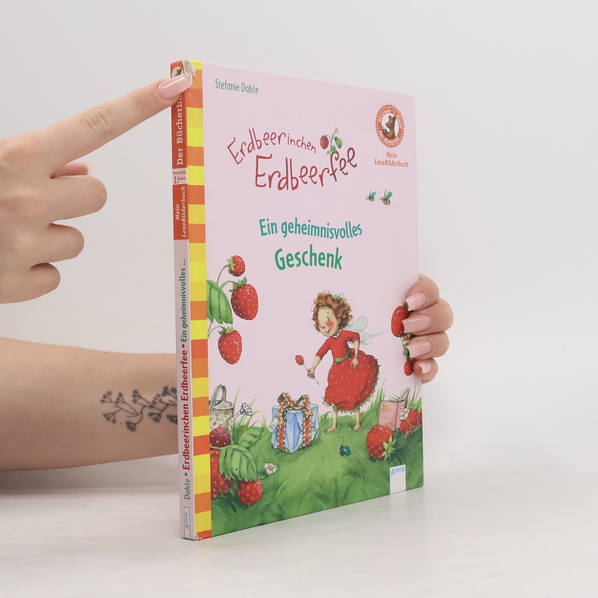 Stefanie Dahle Erdbeerinchen Erdbeerfee - ein geheimnisvolles Geschenk