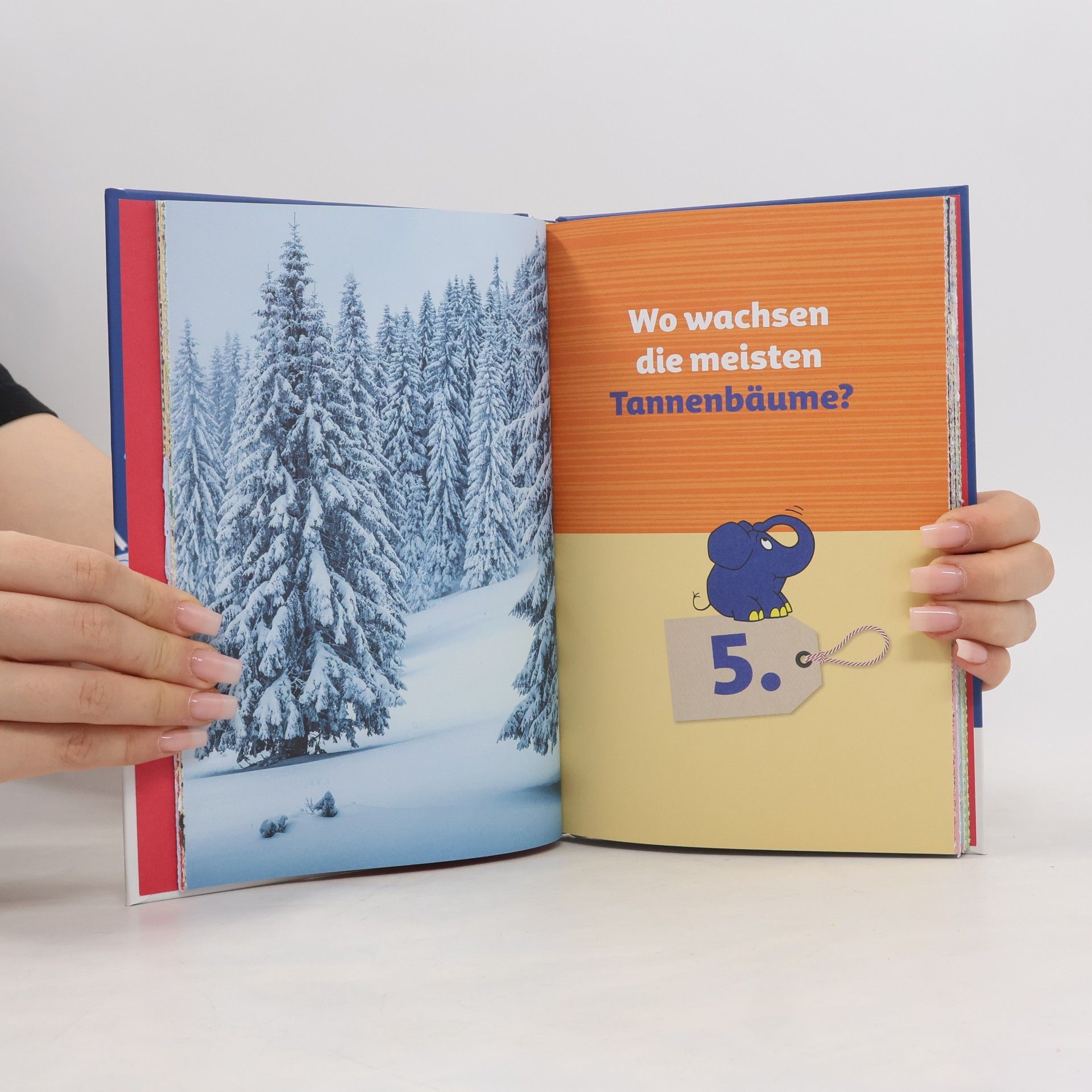 Collectif d'auteurs Frag doch mal ... die Maus: Der Adventskalender 2024