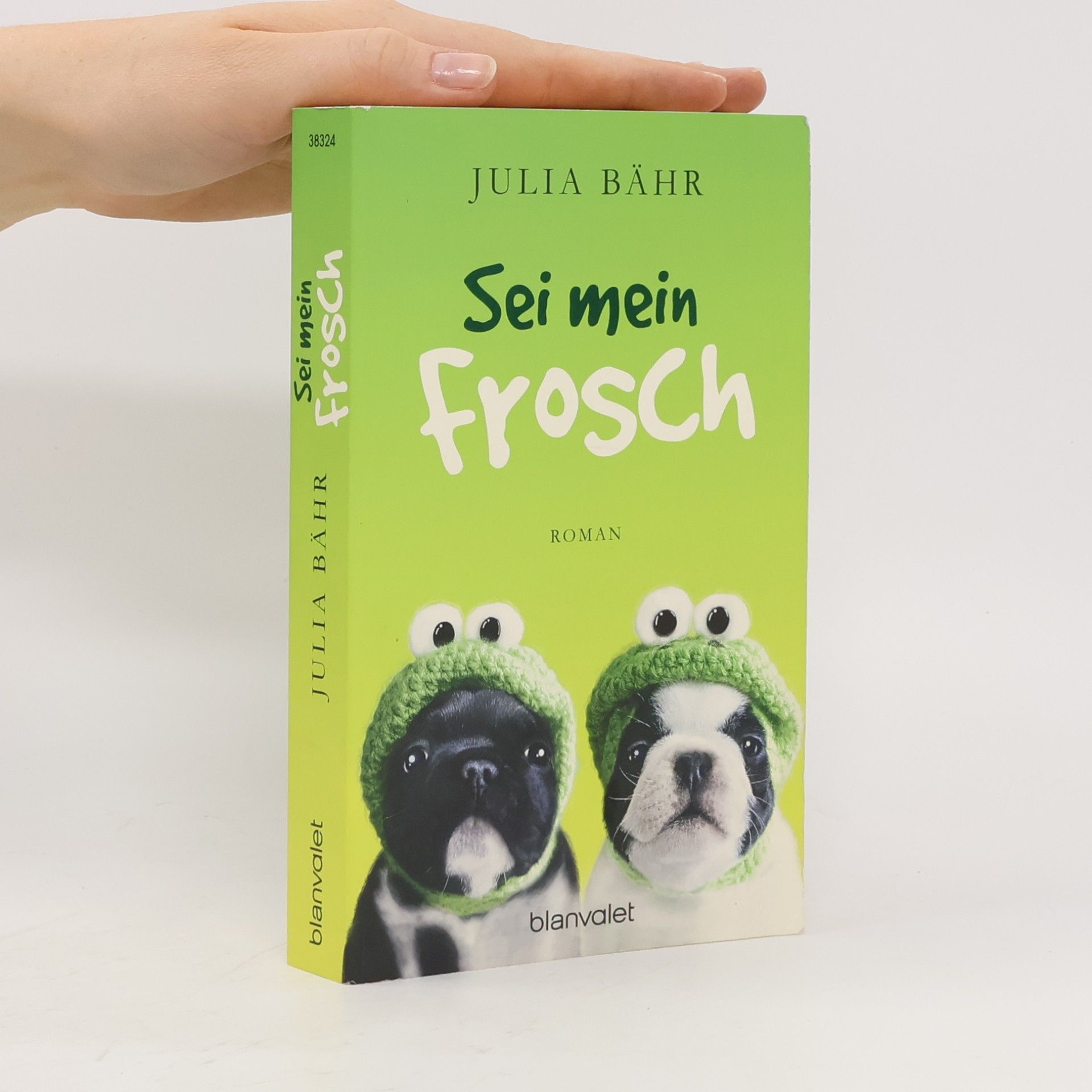 Julia Bähr Sei mein Frosch