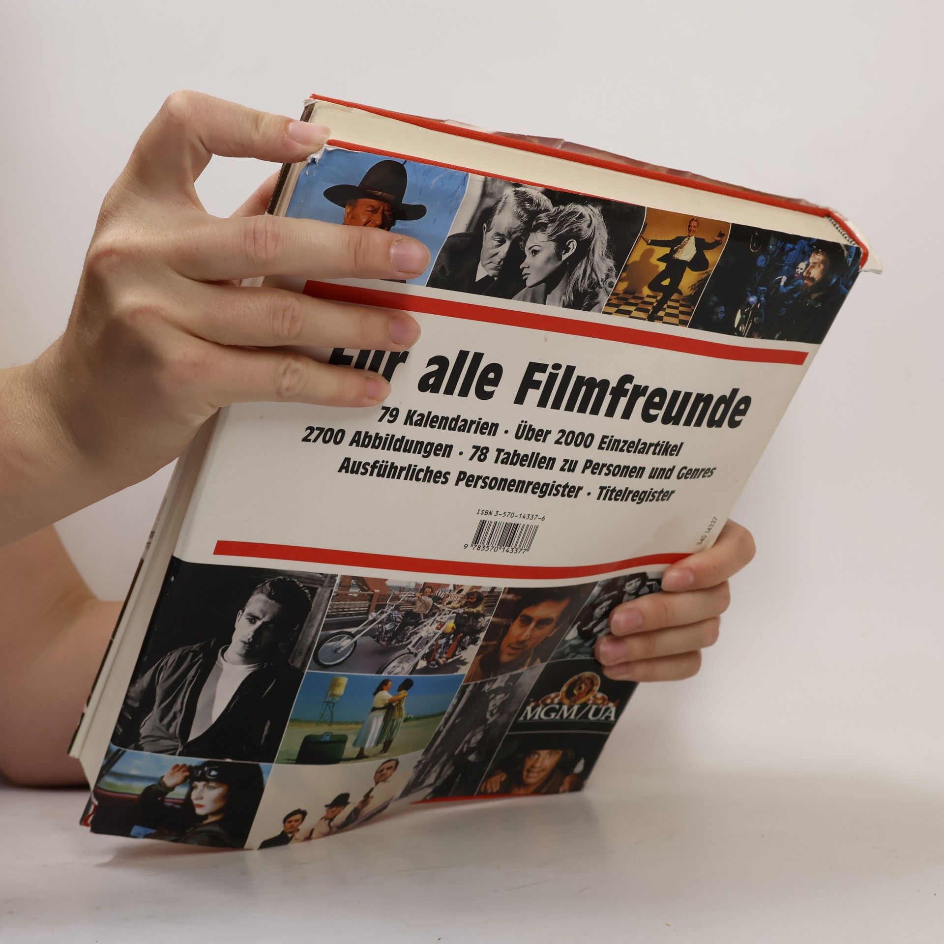 Brigitte Beier Die Chronik des Films