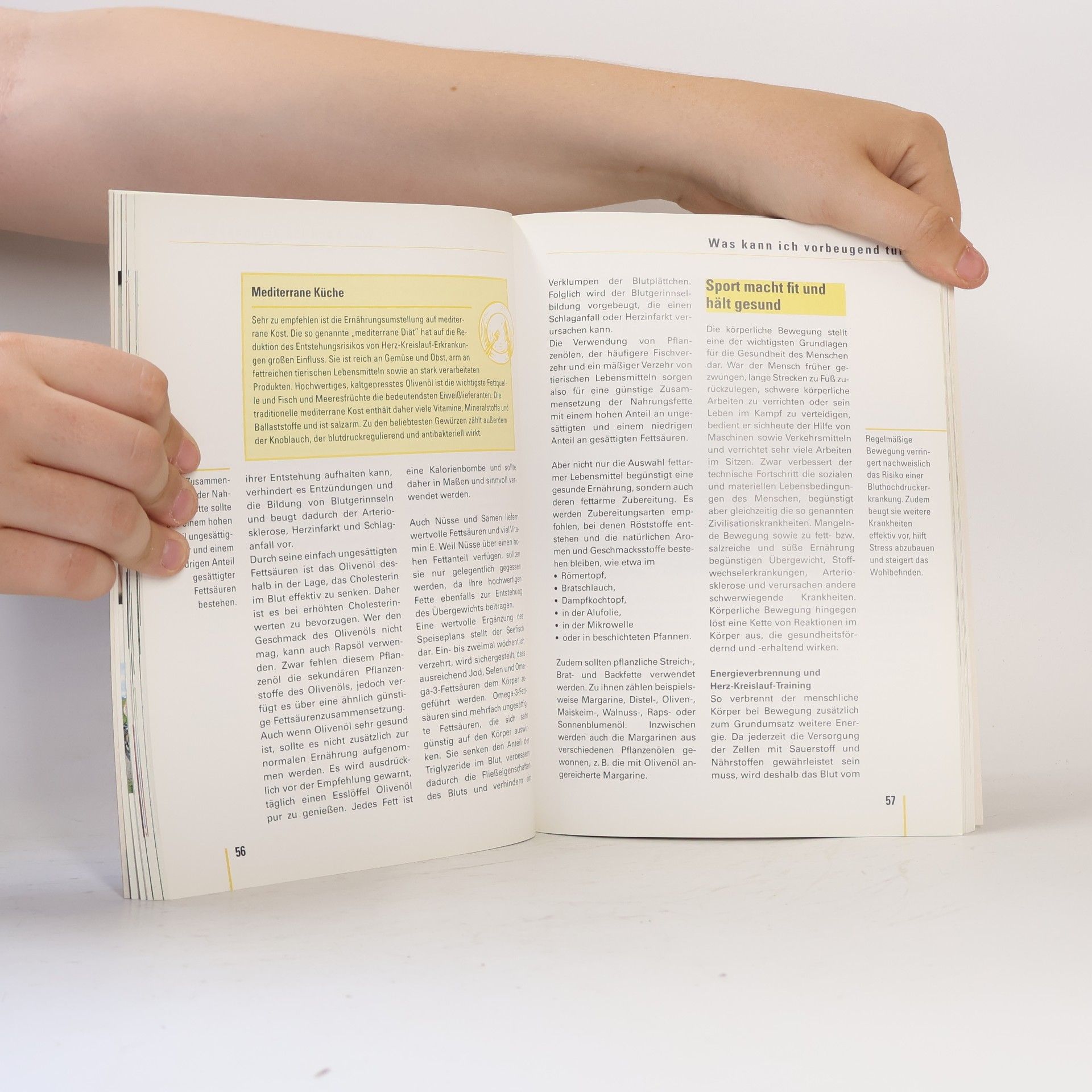 Kolektiv autorů Bluthochdruck