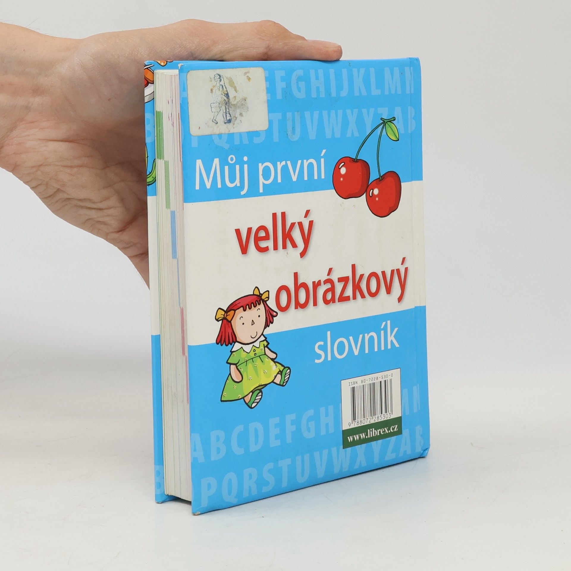 Kolektív autorov Můj první velký obrázkový slovník : [anglické výrazy s výslovností]