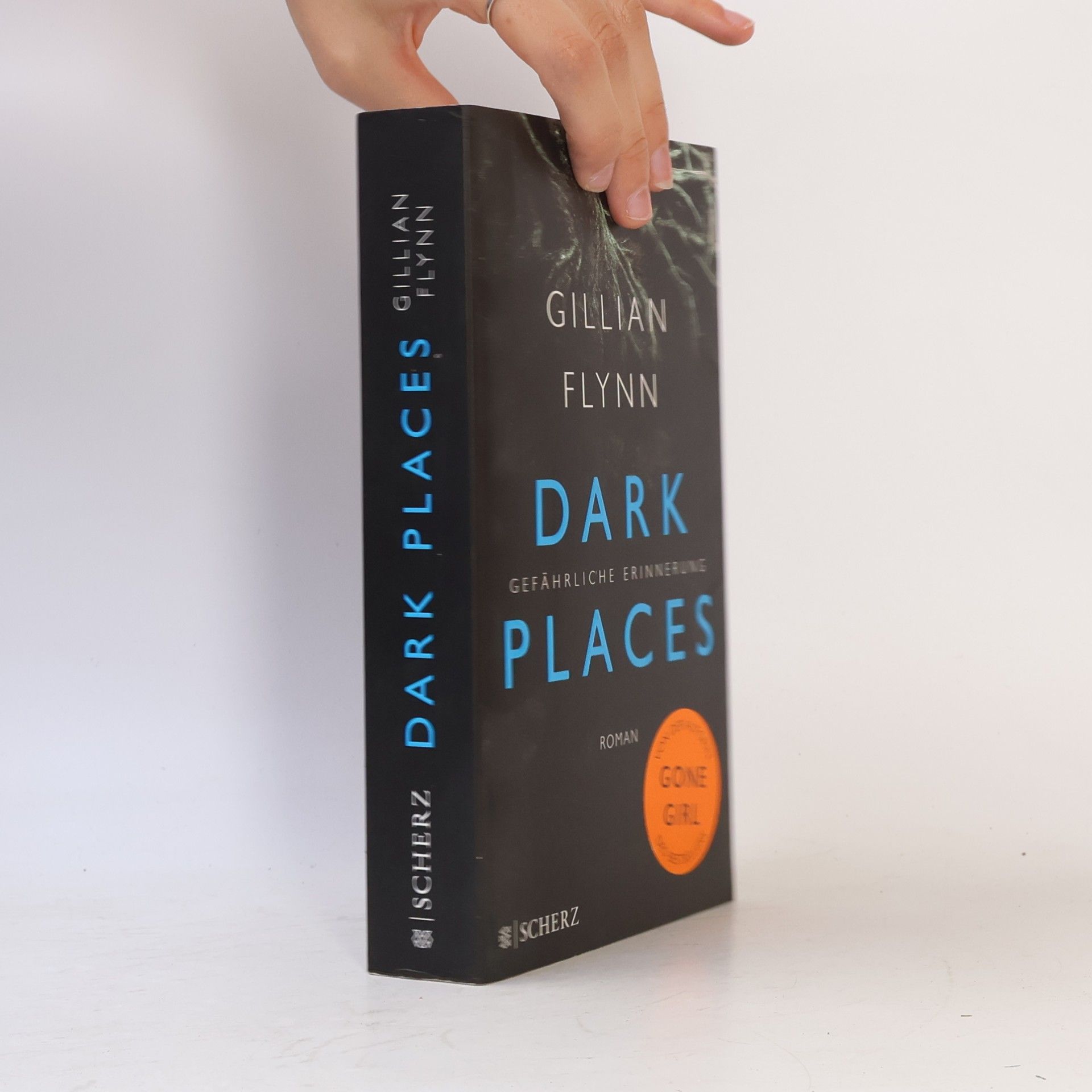 Gillian Flynn Dark places