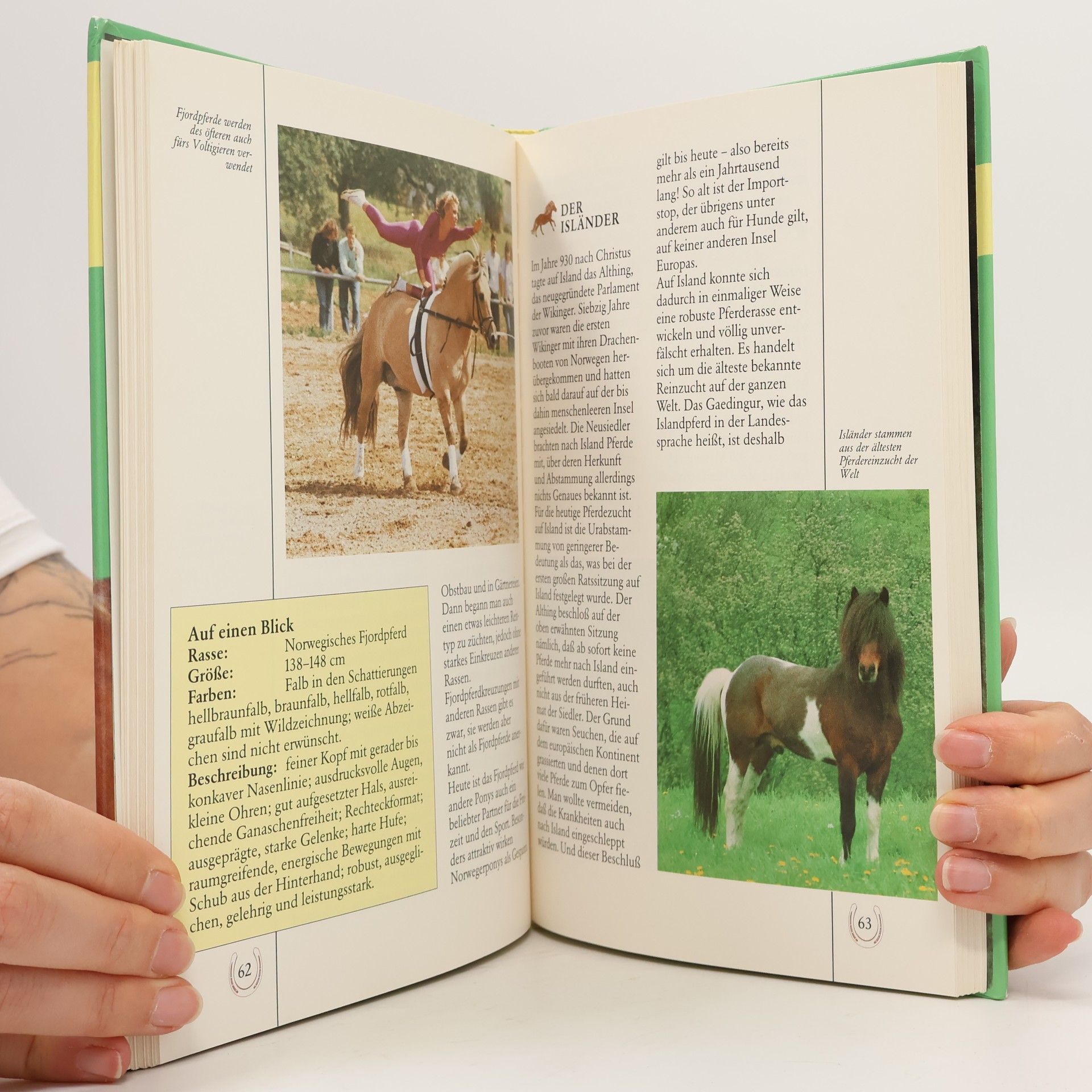 Edel Marzinek Späth Ponys