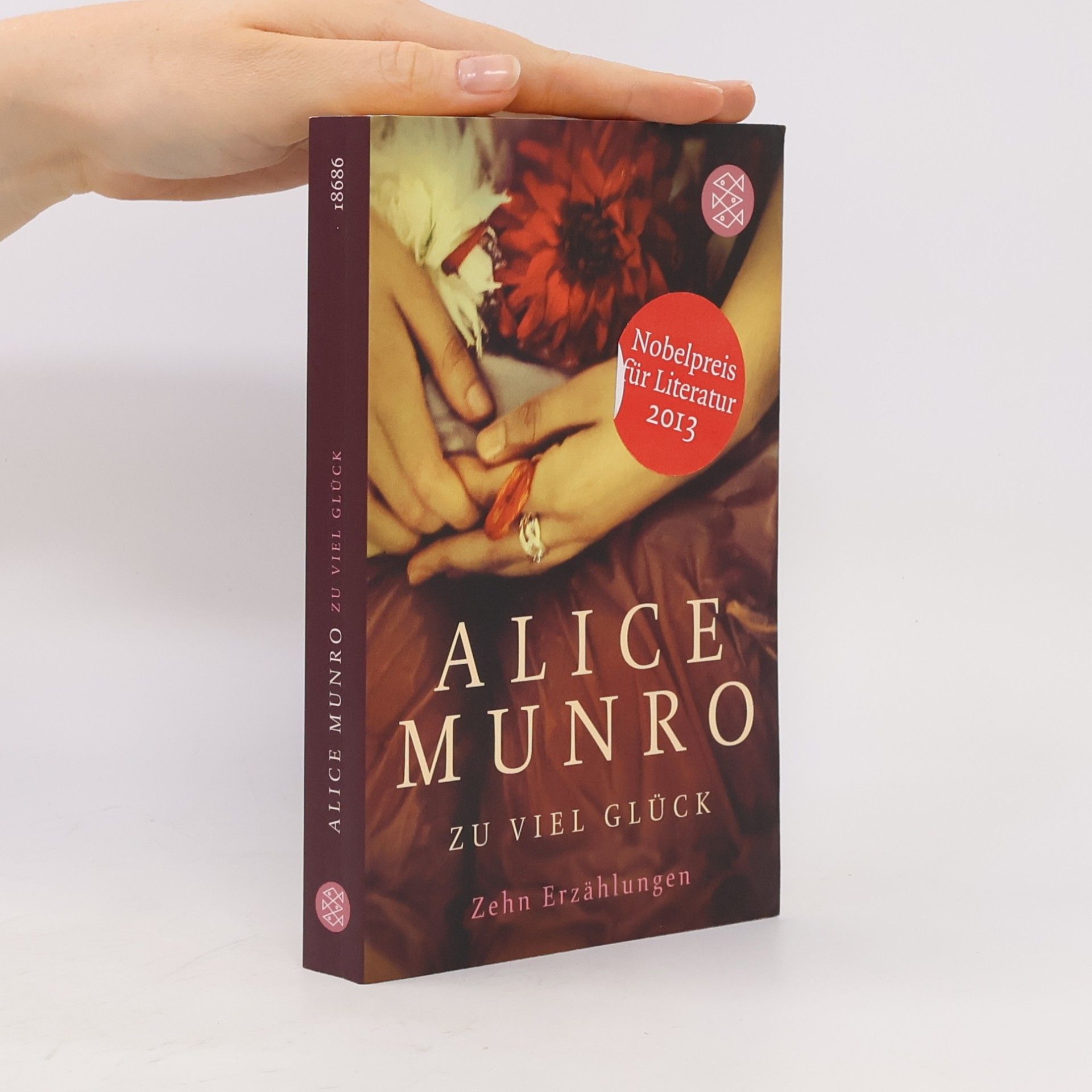 Alice Munro Zu viel Glück. zehn erzählungen