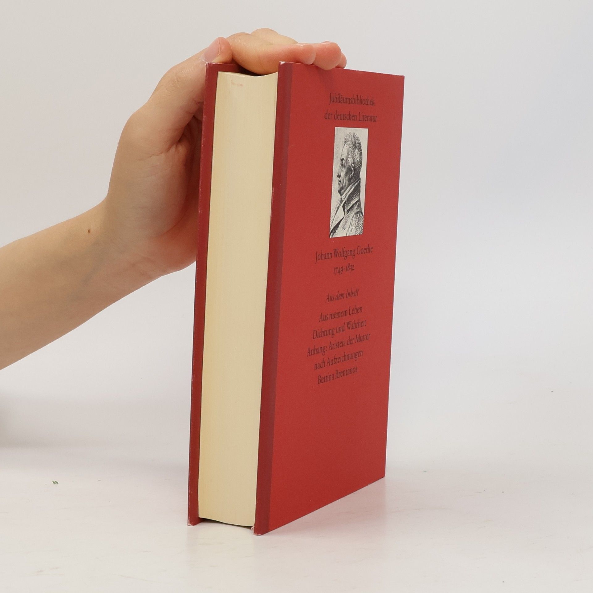 Johann Wolfgang von Goethe Sämtliche Werke 10, Dichtung und Wahrheit