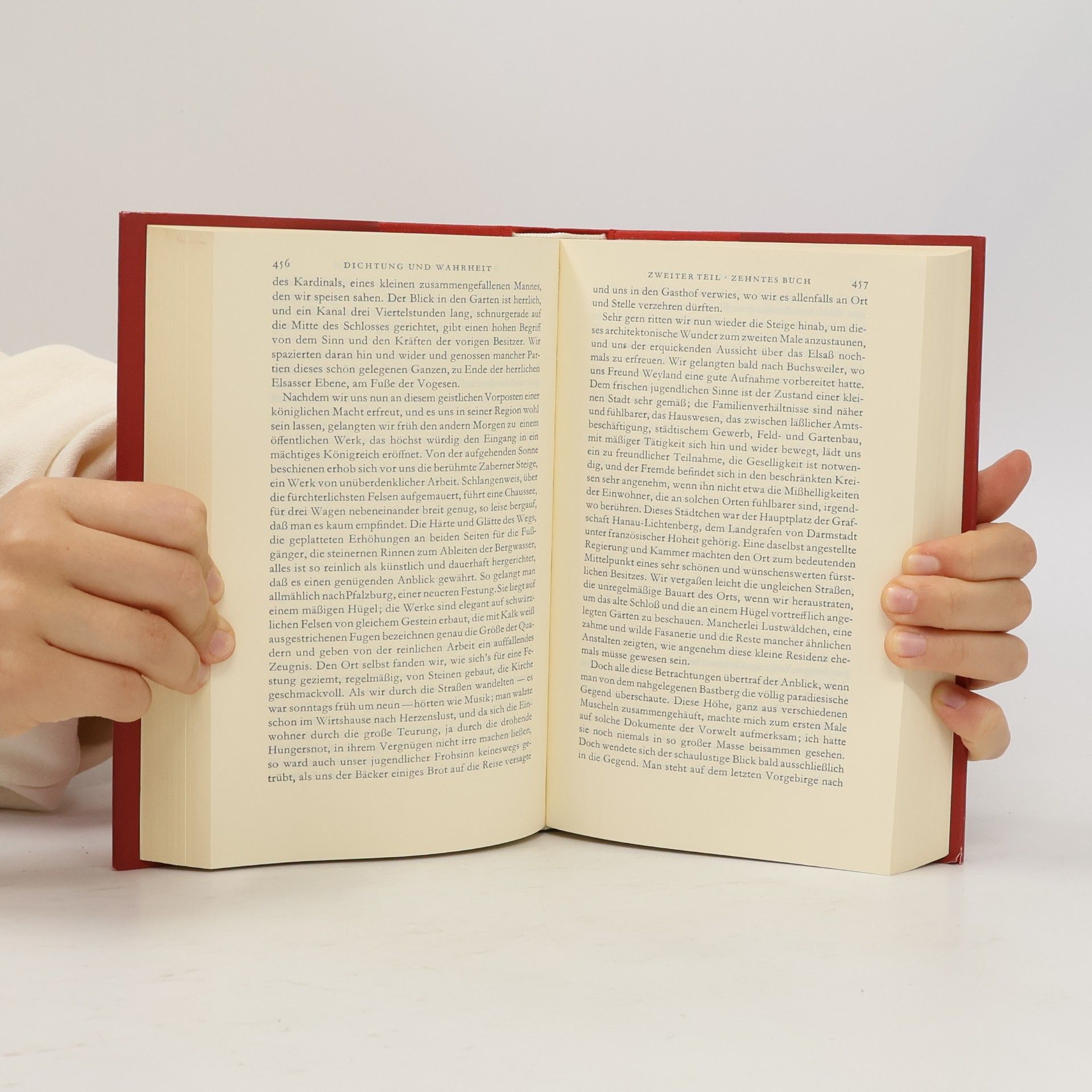 Johann Wolfgang von Goethe Sämtliche Werke 10, Dichtung und Wahrheit