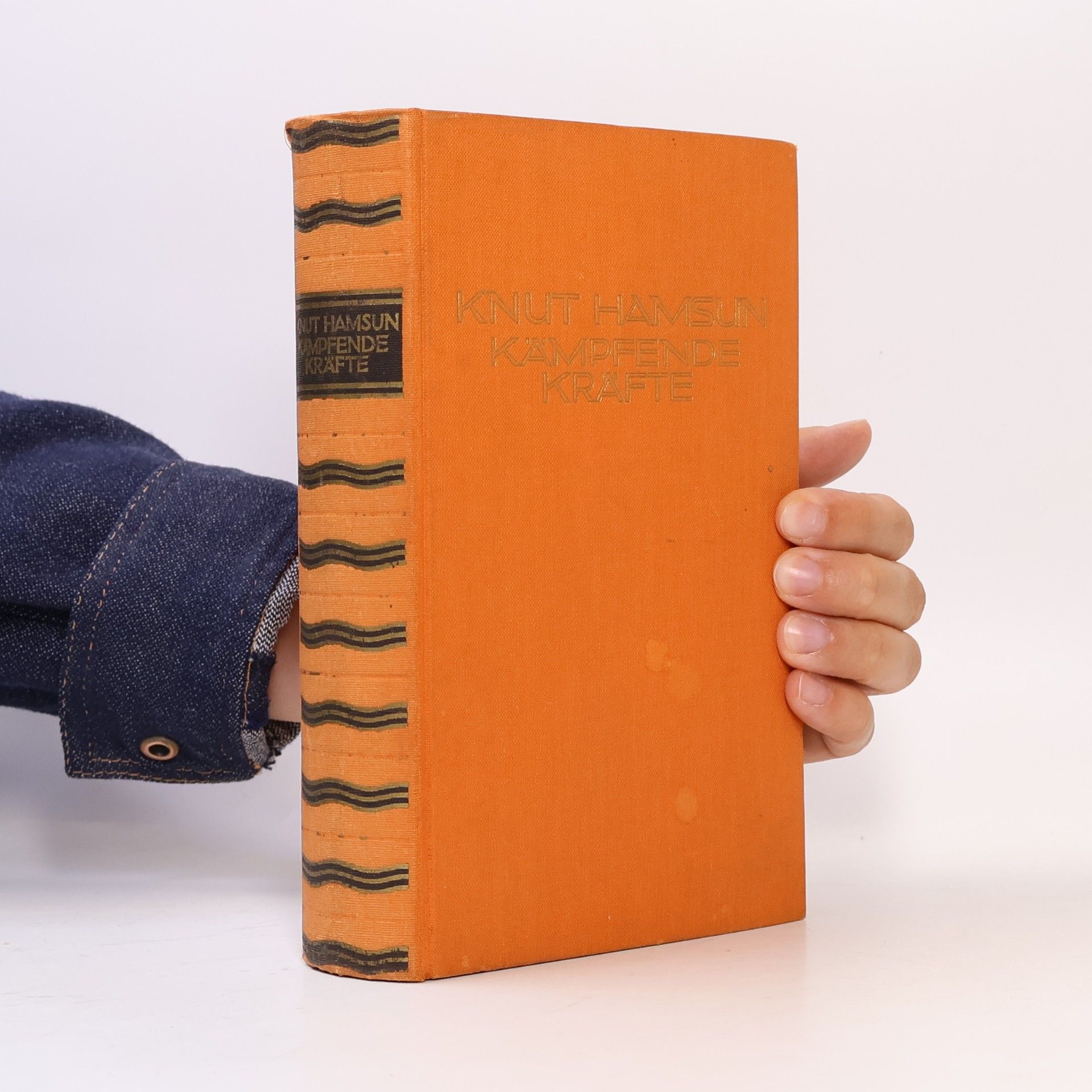 Knut Hamsun Kämpfende Kräfte