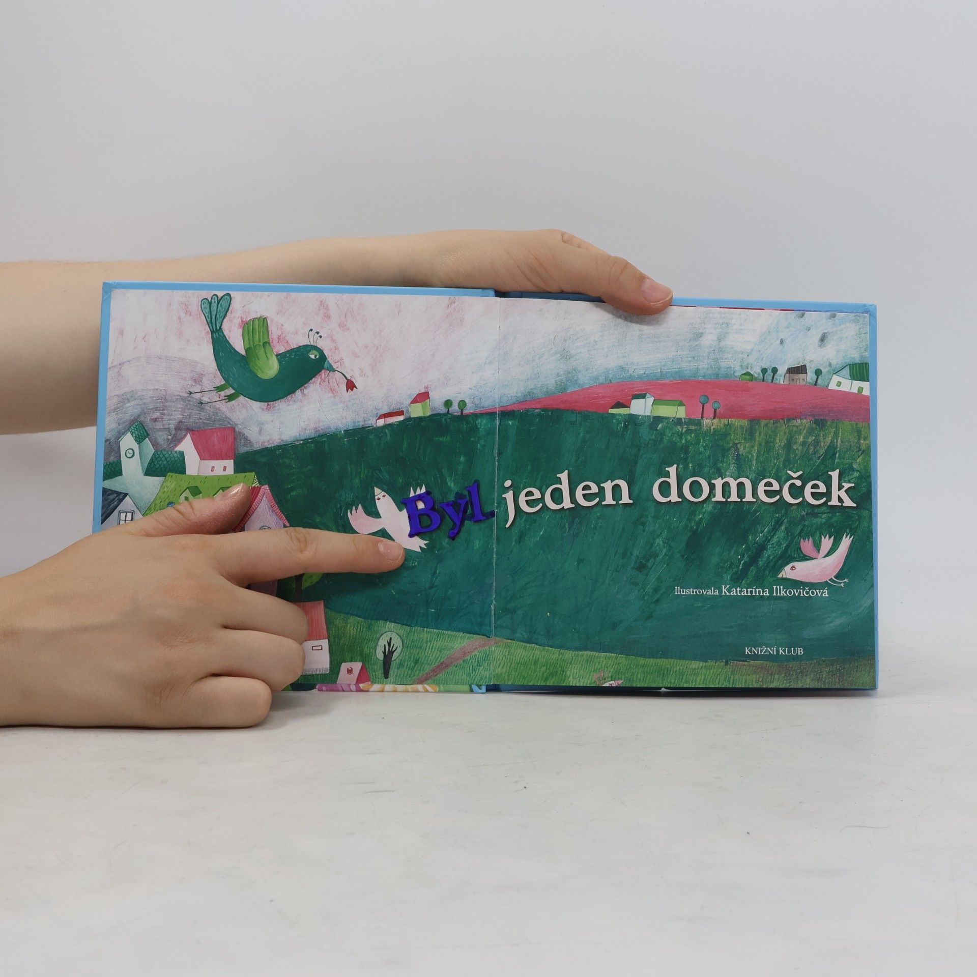 Viola Somogyi Byl jeden domeček