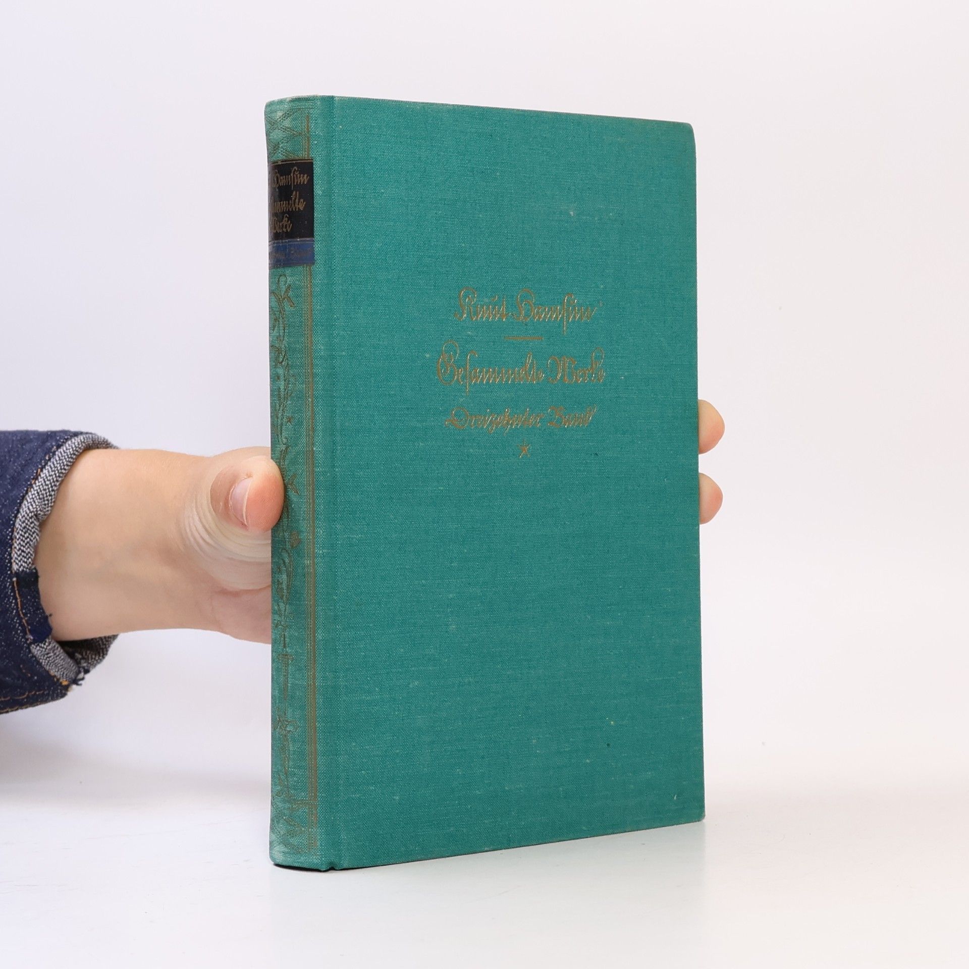 Knut Hamsun Das letzte Kapitel