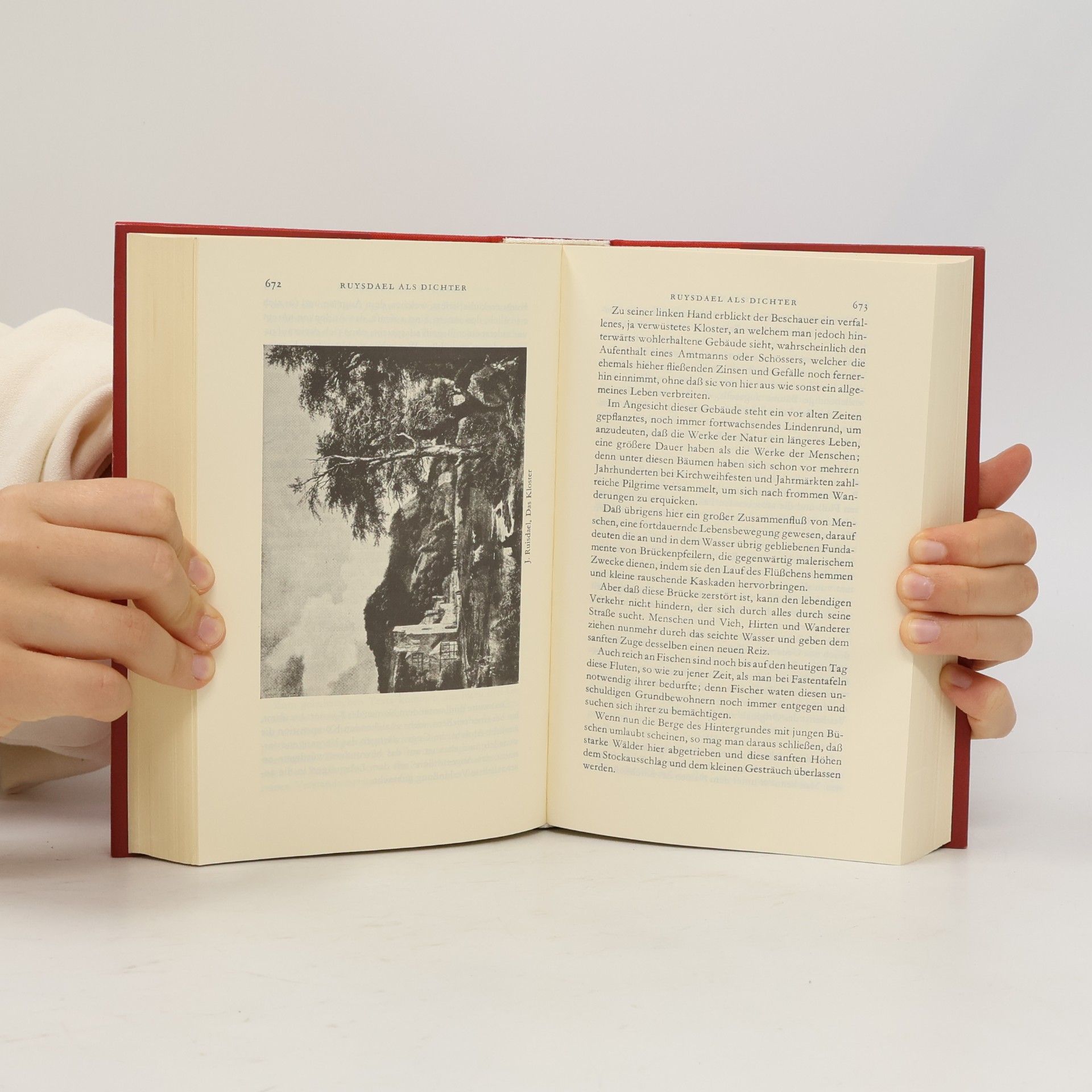 Johann Wolfgang von Goethe Sämtliche Werke 13