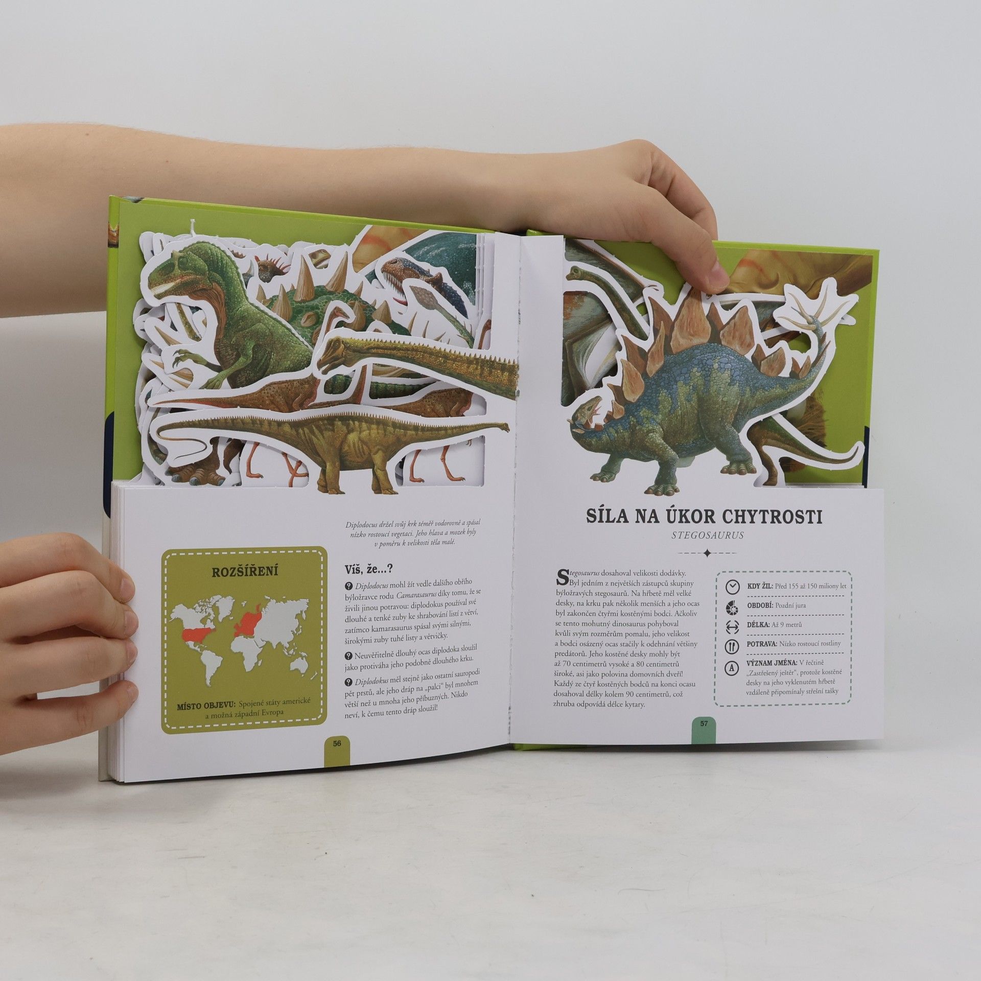 Autorenkollektiv Vytrhávanky: Dinosauři