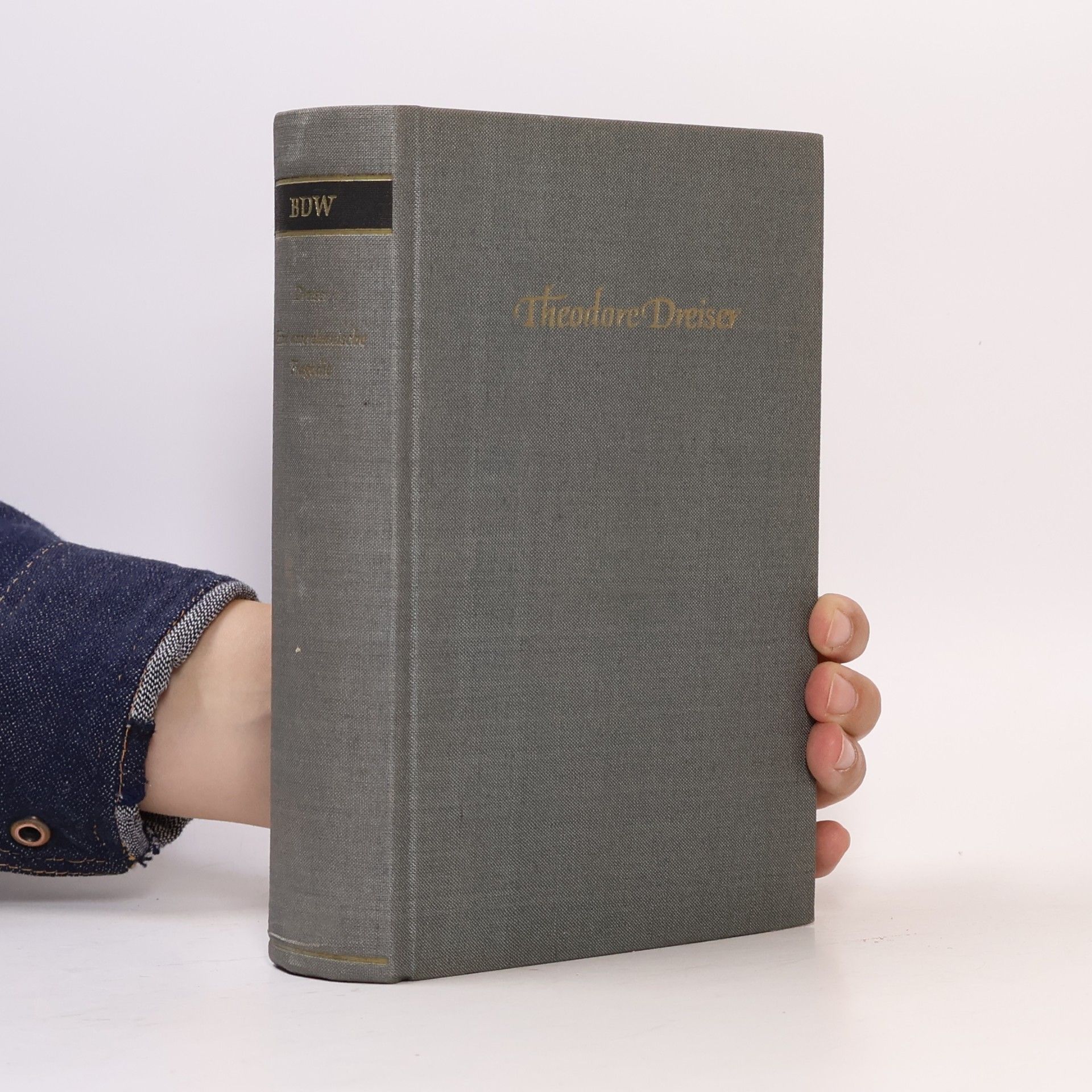 Theodore Dresier Eine Amerikanische tragödie