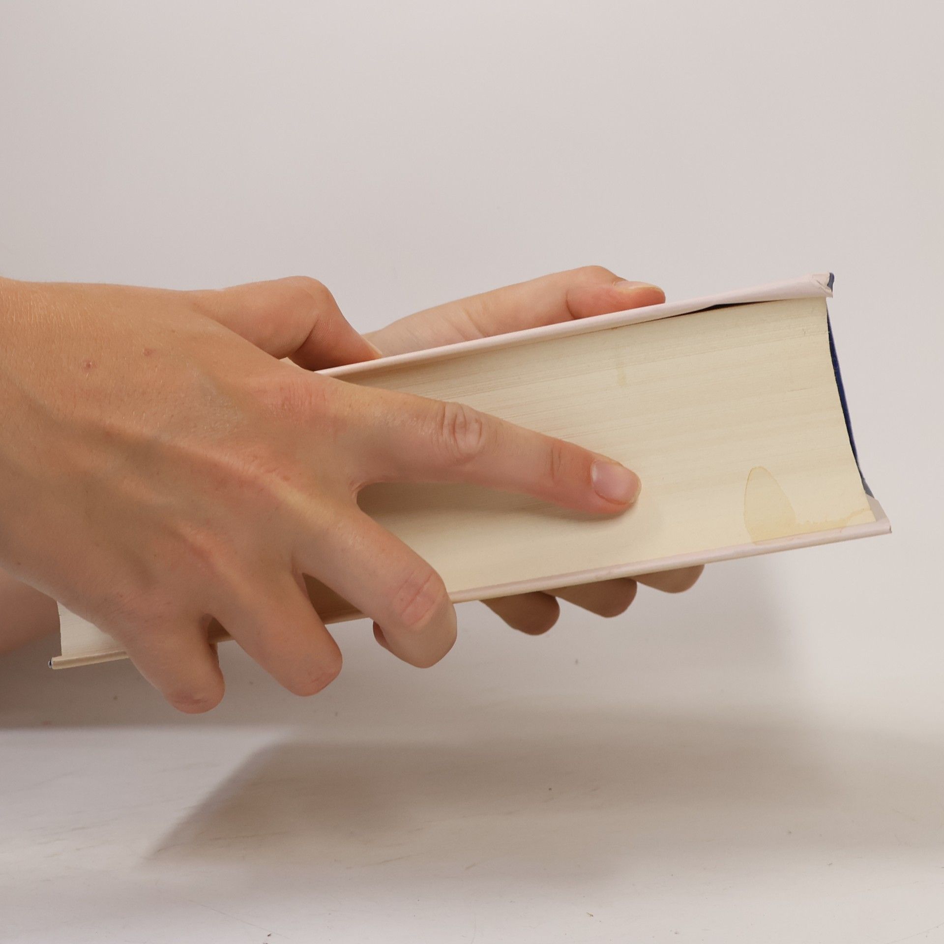 Ulrich Wickert Das Buch der Tugenden