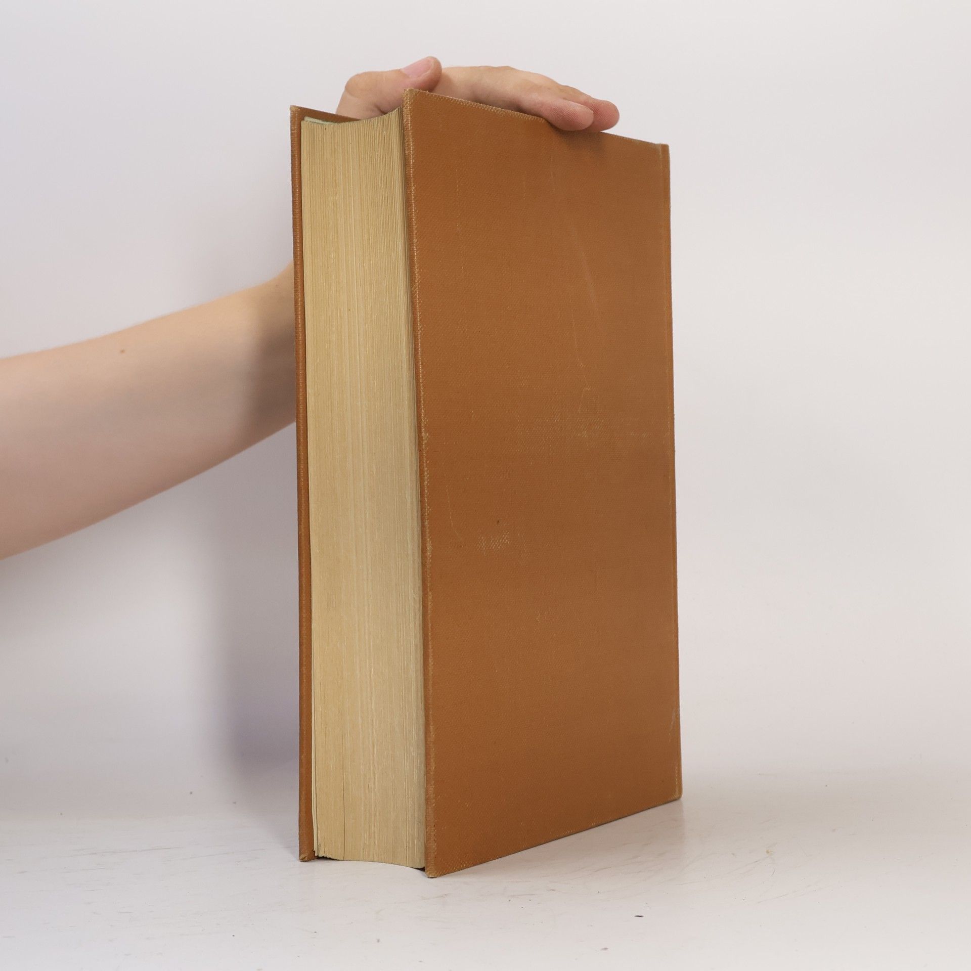 Kolektív autorov Der Neue Brockhaus