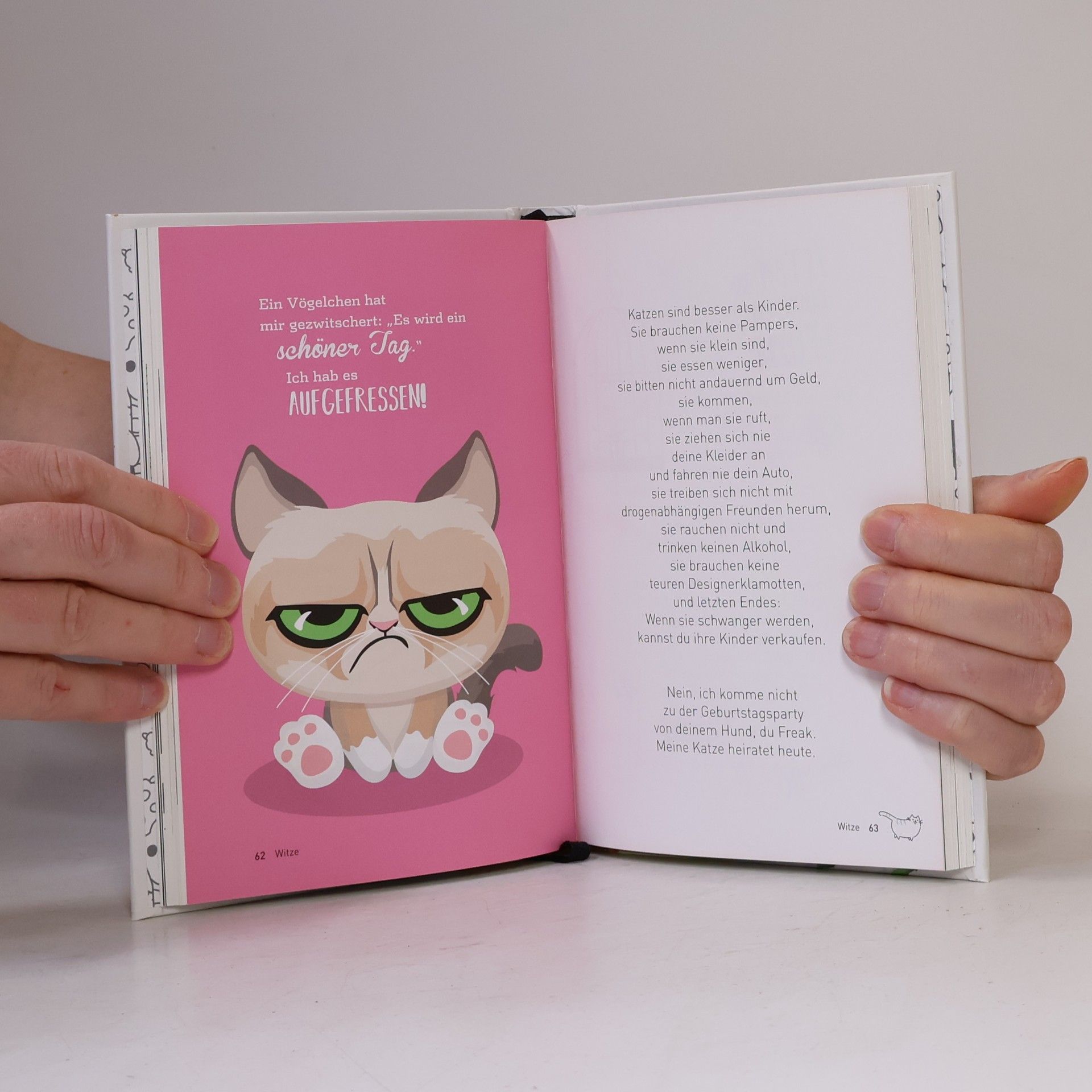 Sonja Sammüller Die Wahrheit über Katzen