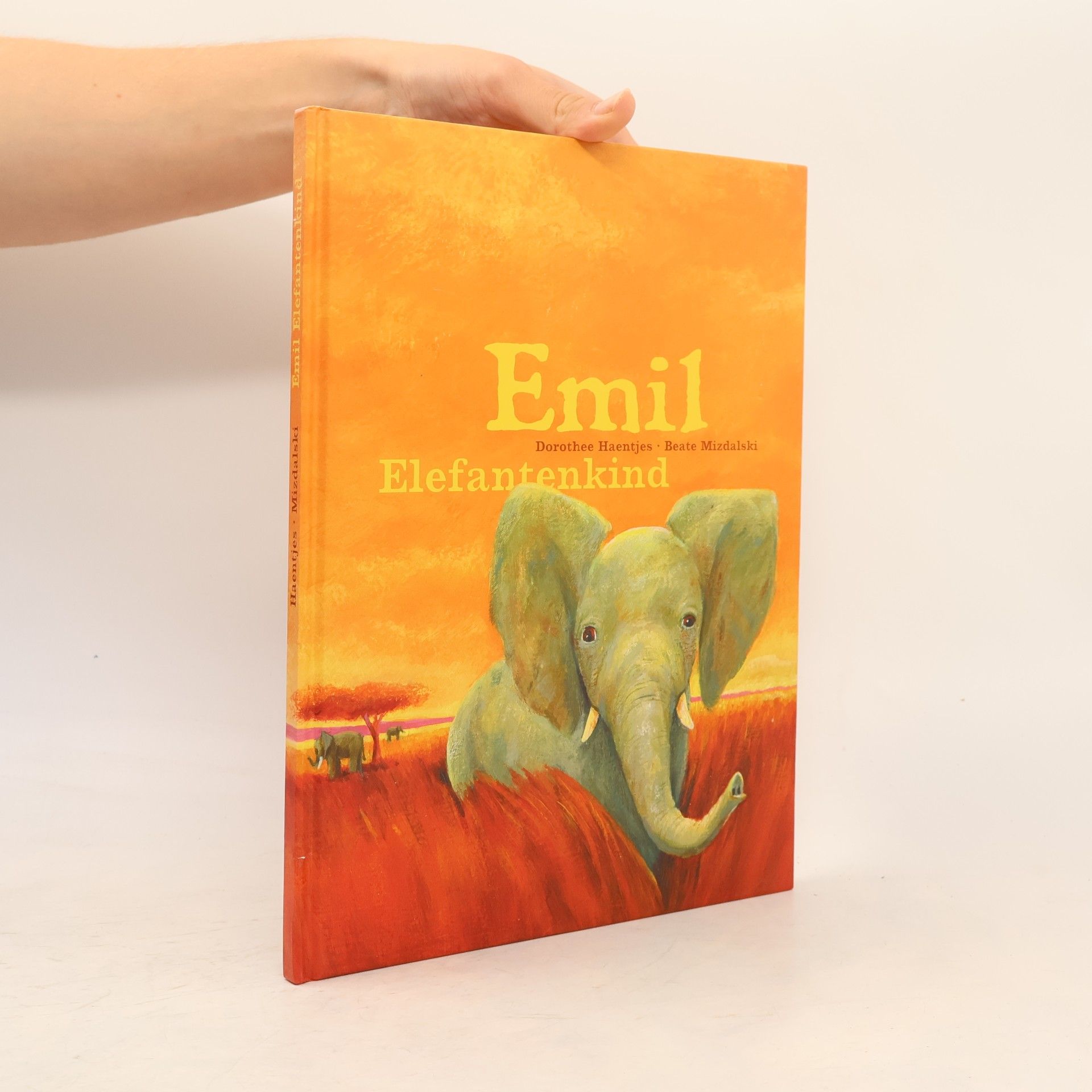 Dorothee Haertjes Emil Elefantenkind