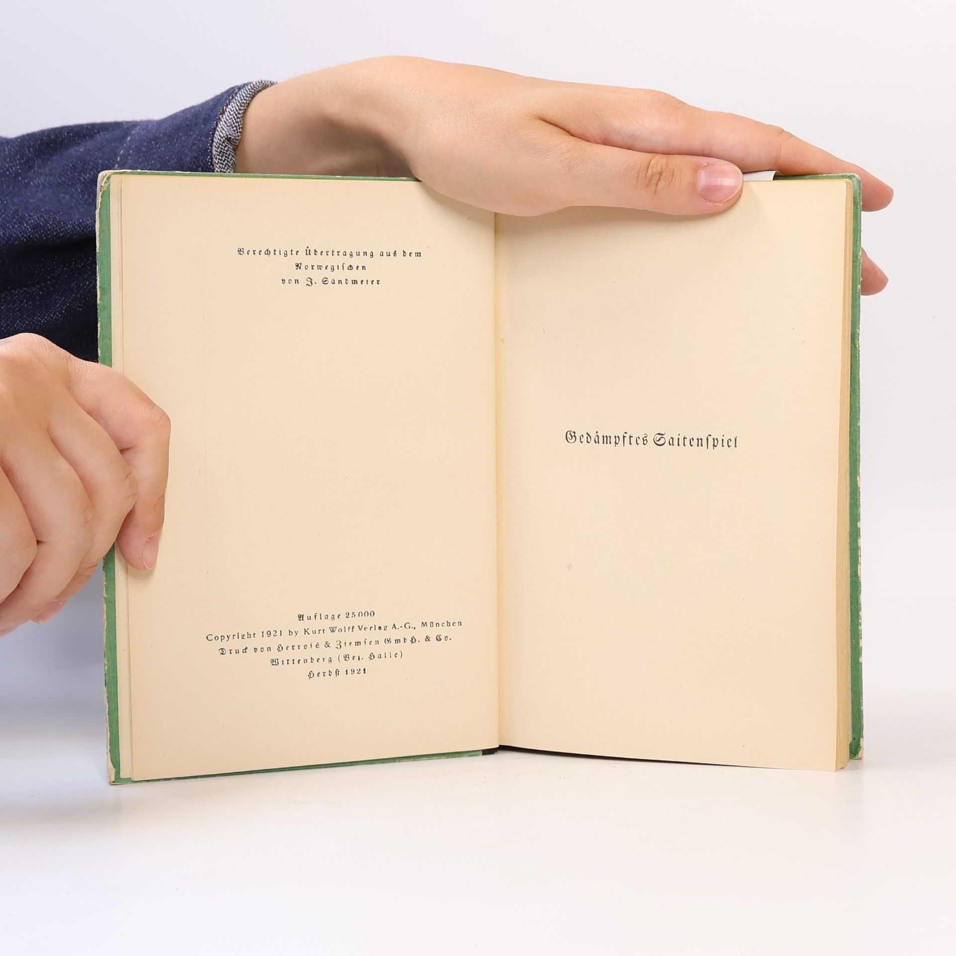 Knut Hamsun Gedämpftes Saitenspiel