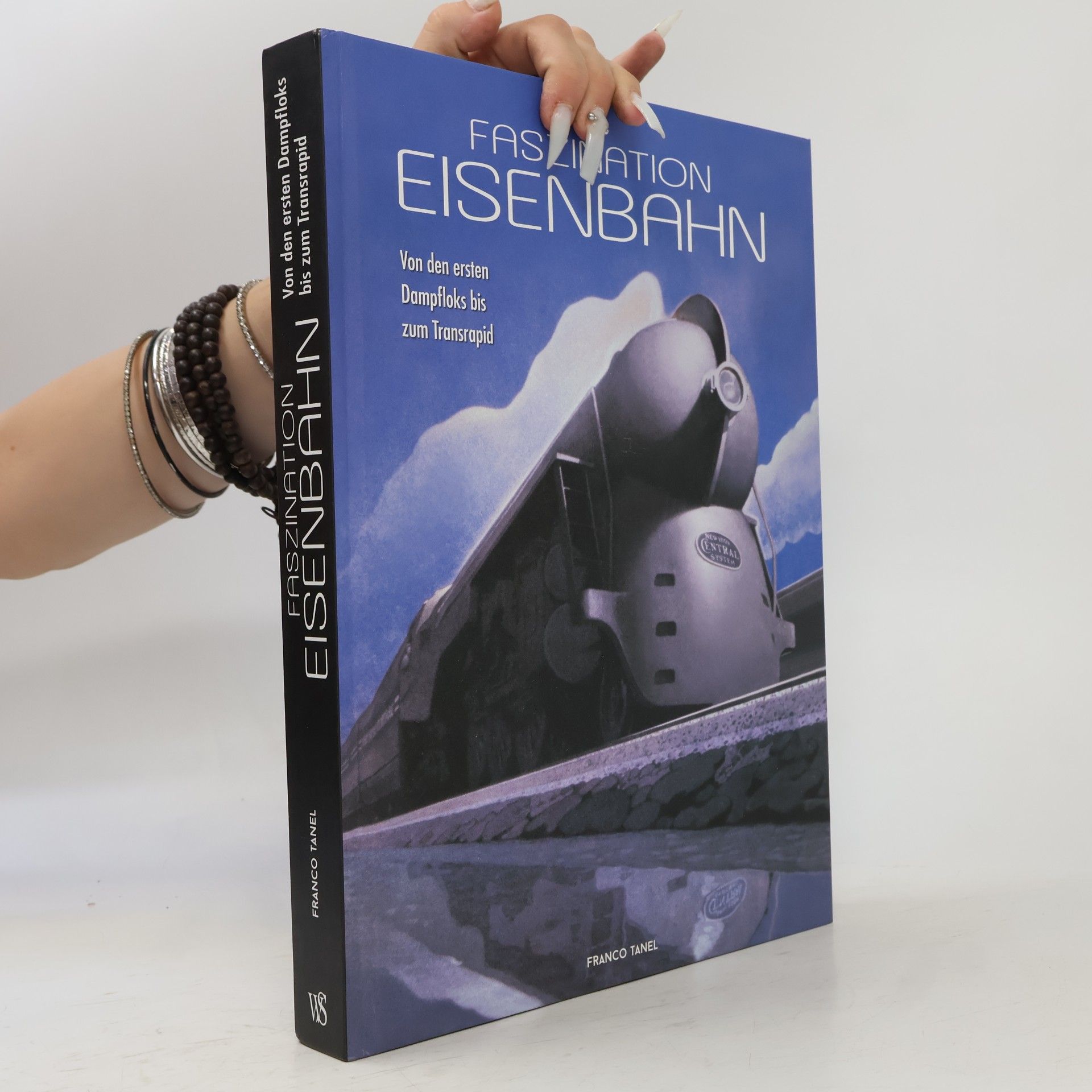 Franco Tanel Faszination Eisenbahn