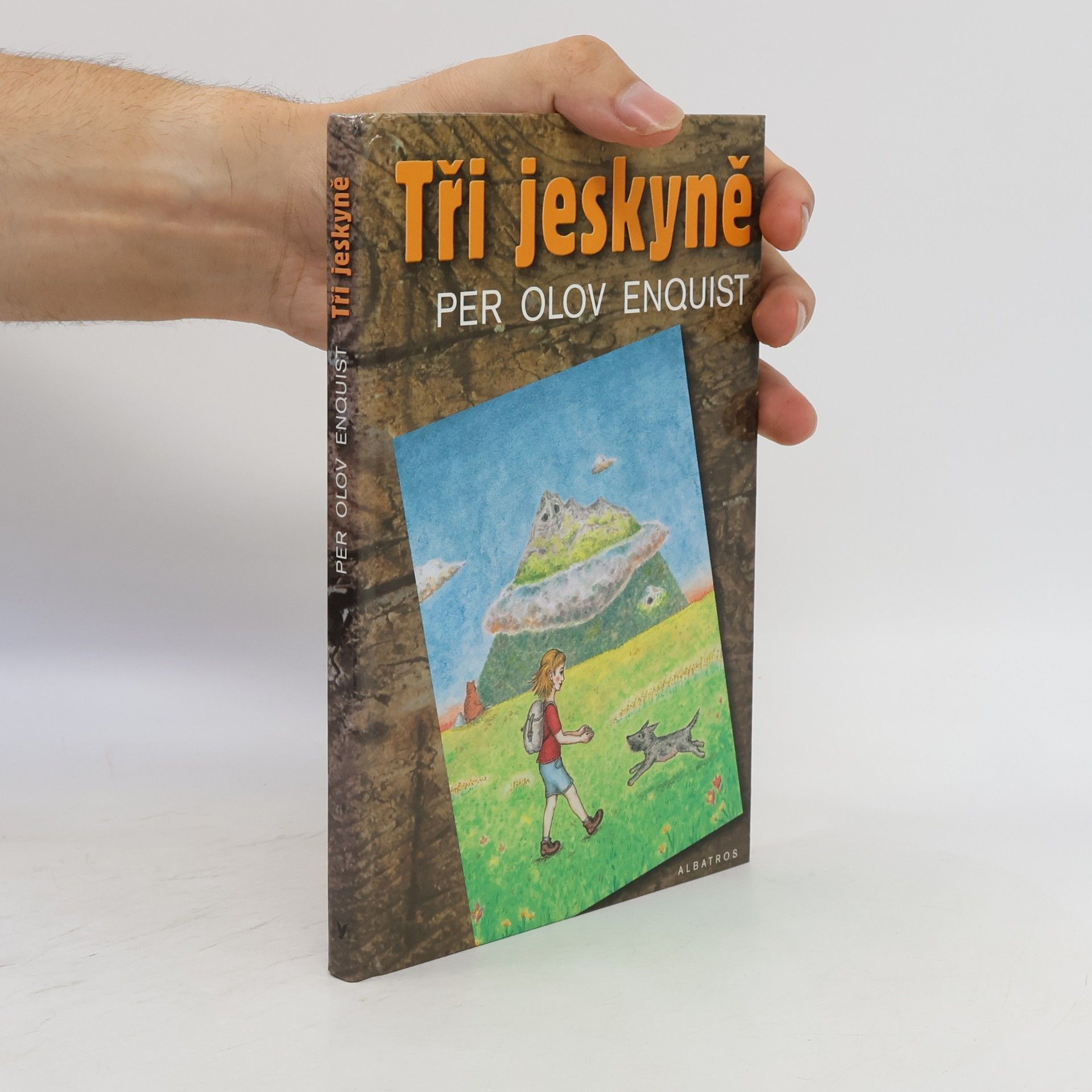 Per Olov Enquist Tři jeskyně