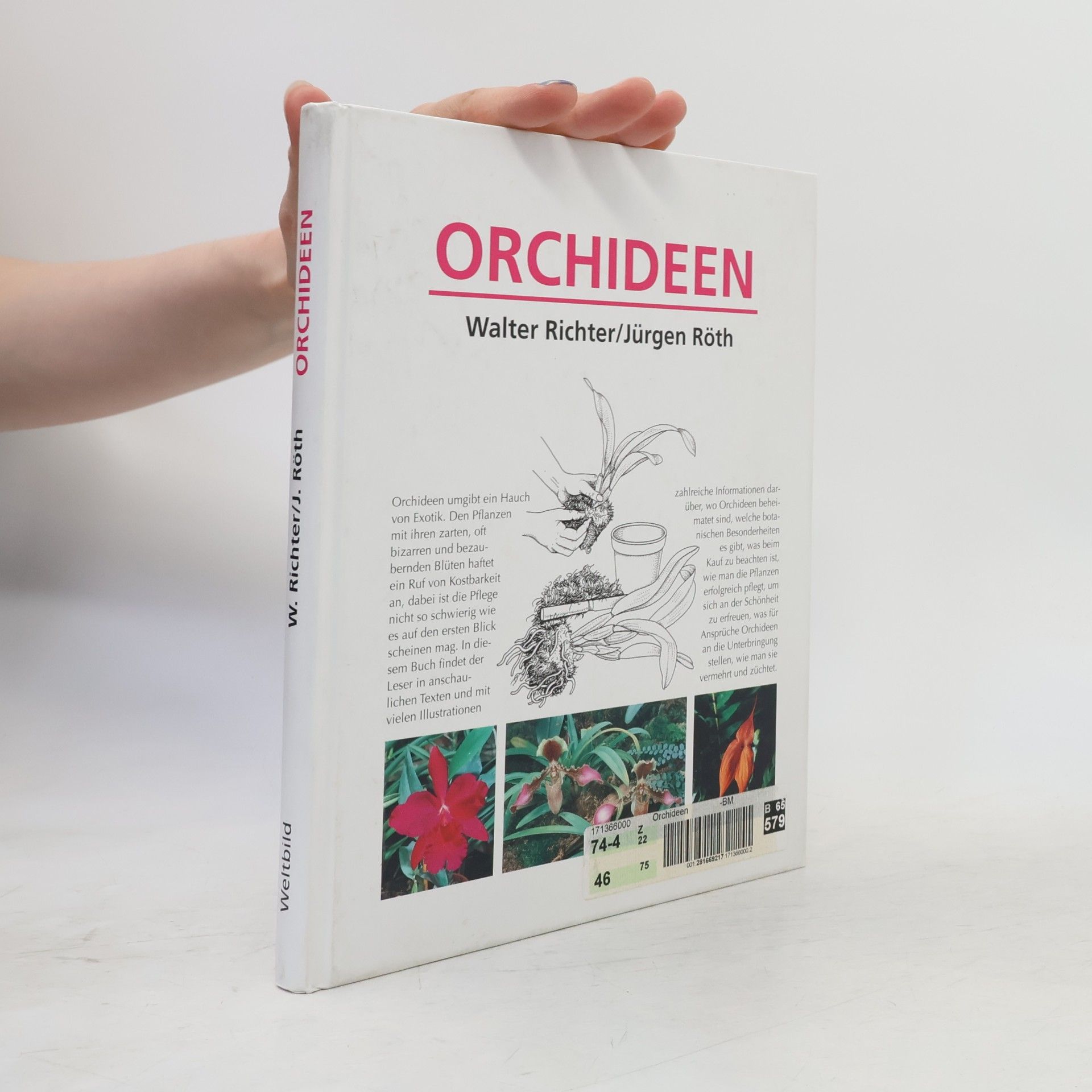 Walter Richter Orchideen