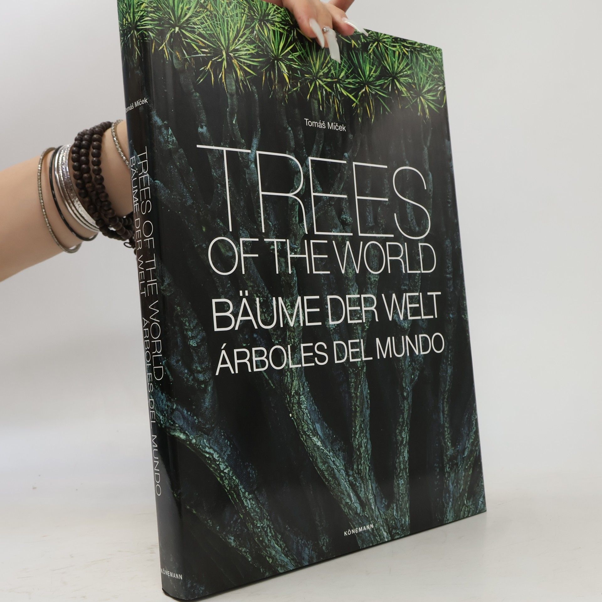 Hans Torwesten Trees of the World: Bäume der Welt / Árboles del Mundo