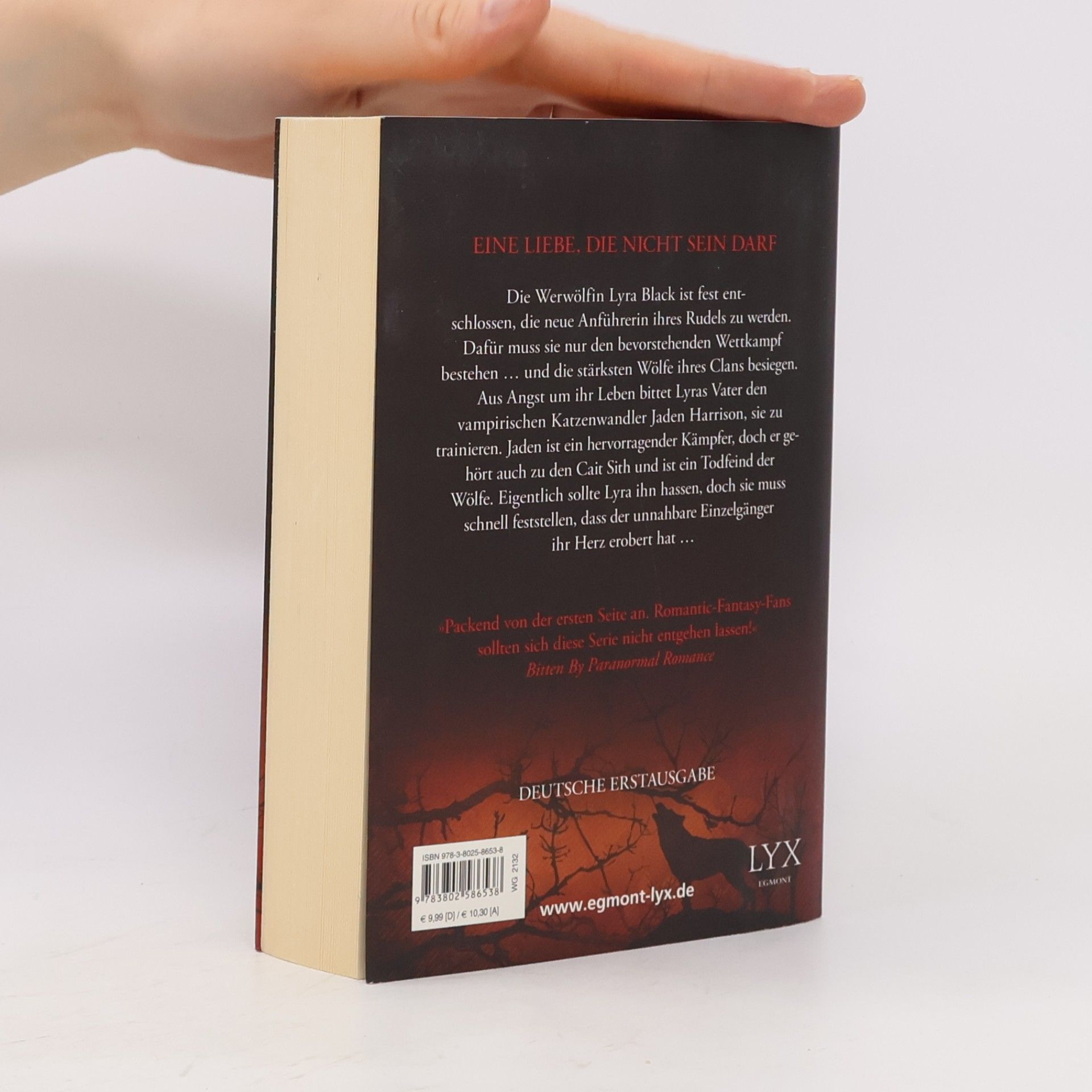 Kendra Leigh Castle Erben des Blutes